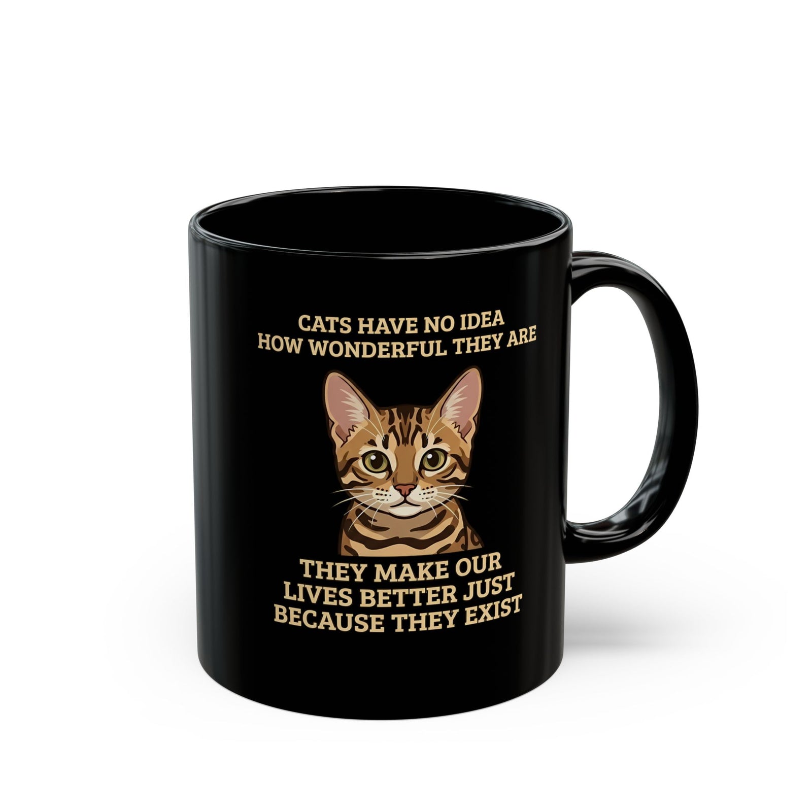 Whimsical "Cats Have No Idea How Wonderful They Are" Cat Black Mug
