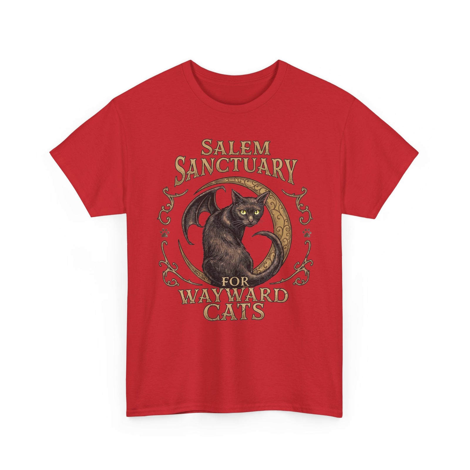 Salem Sanctuary For Wayward Cats T-Shirt — Winged Black Cat Gothic Tee
