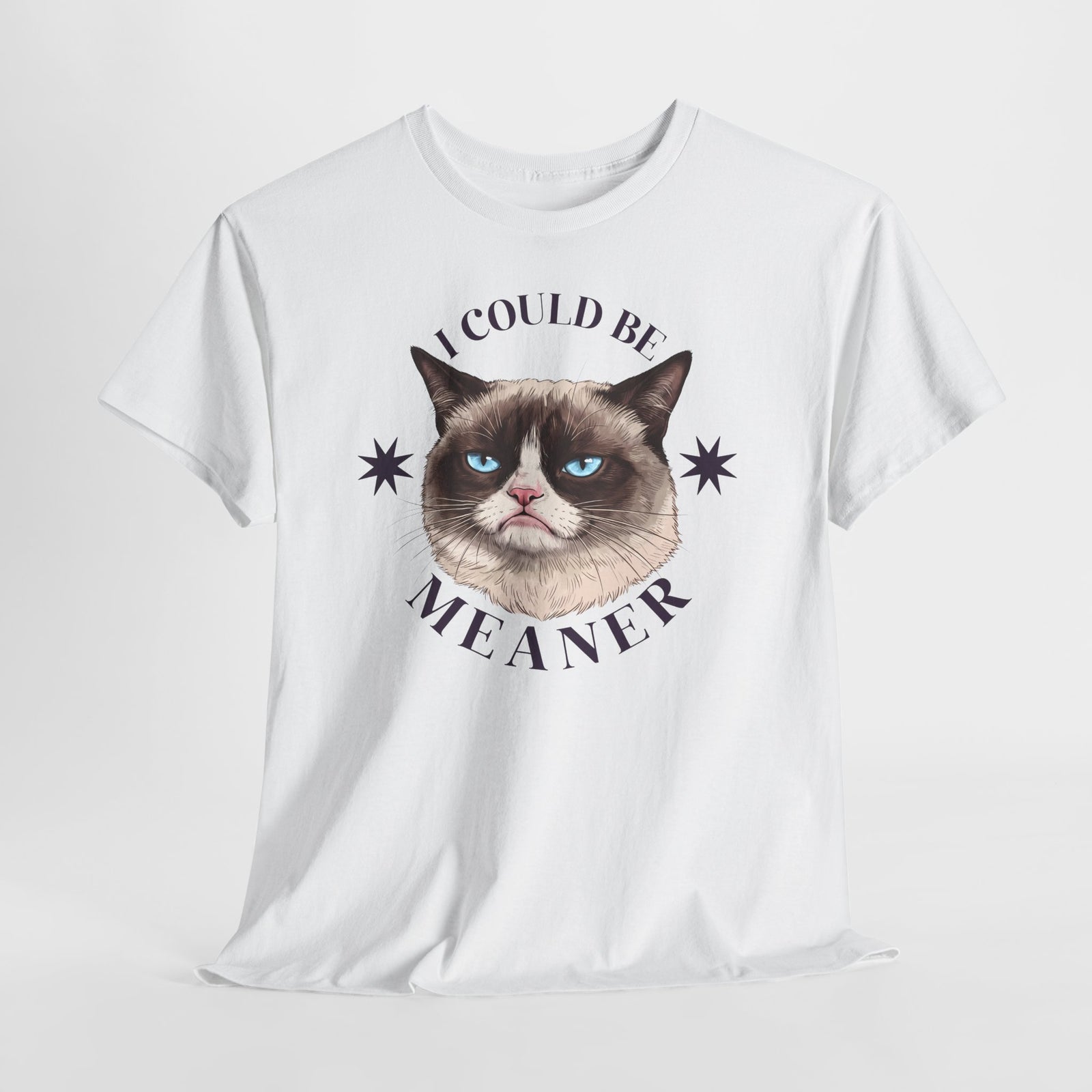 I Could Be Meaner T-Shirt — Funny Grumpy Cat Graphic Tee