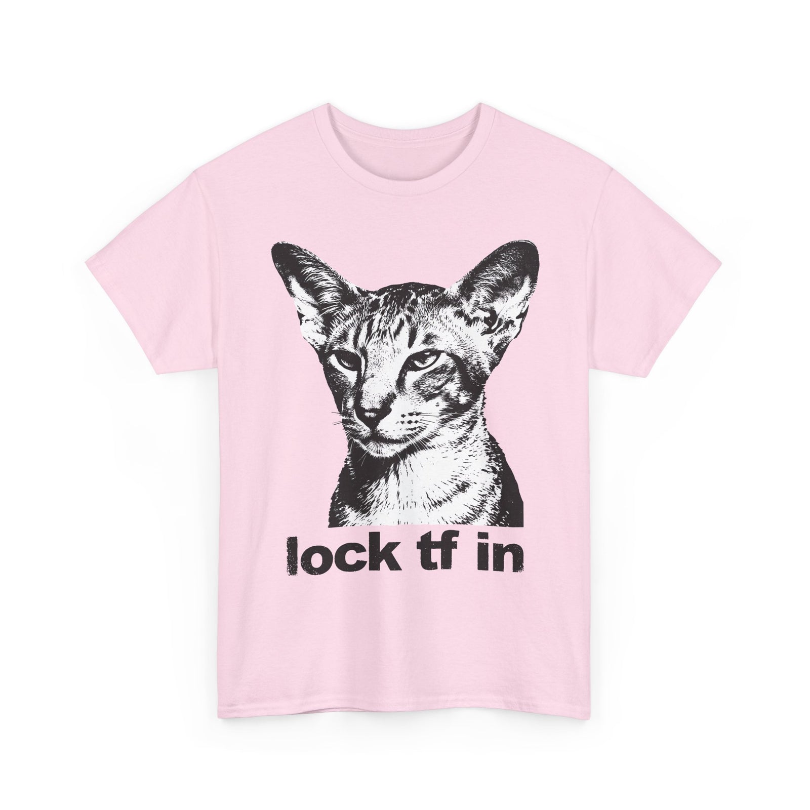 Cat Graphic Tee — "lock tf in" Retro Sphynx Illustration