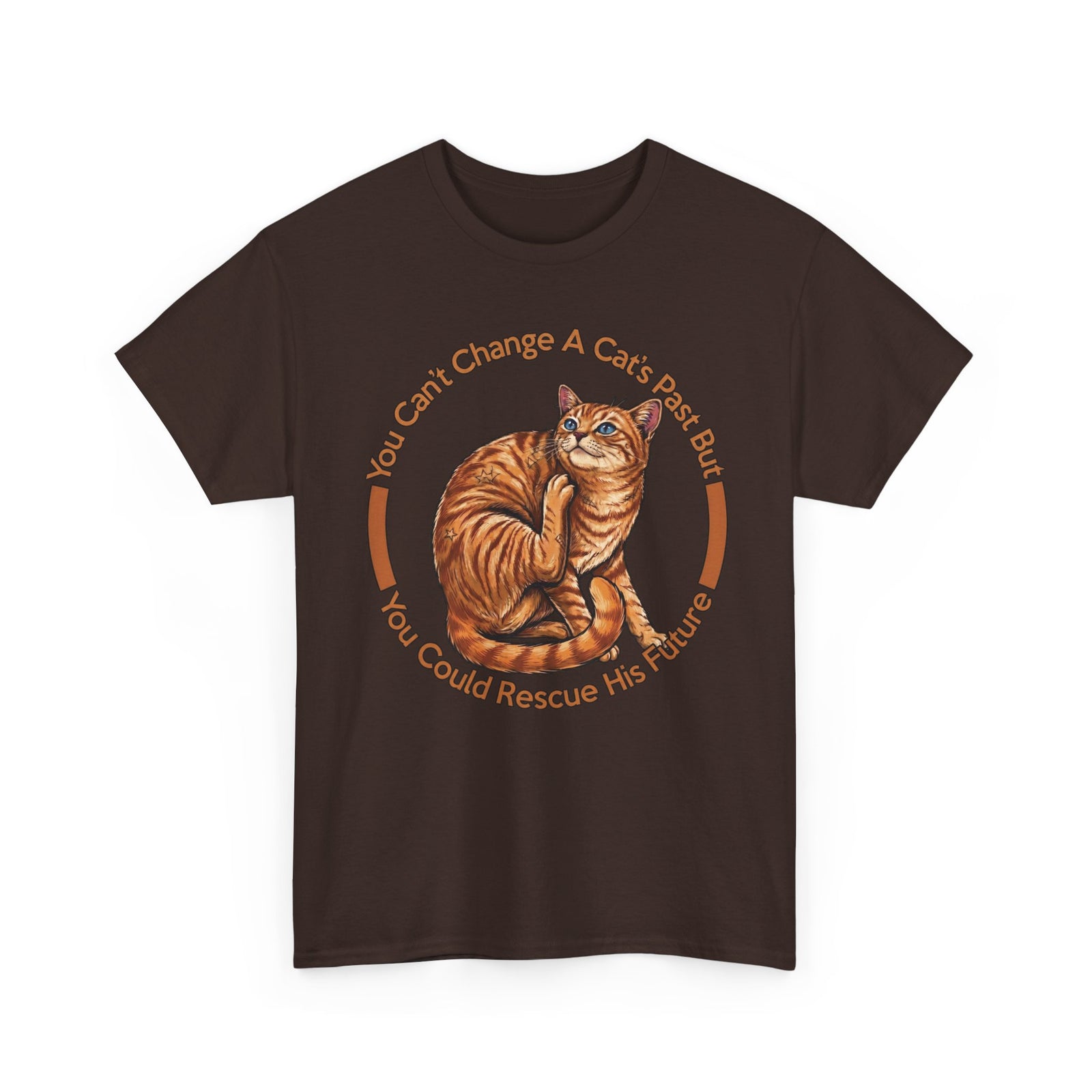 Rescue Cat T-Shirt — You Can't Change A Cat's Past Adoption Tee
