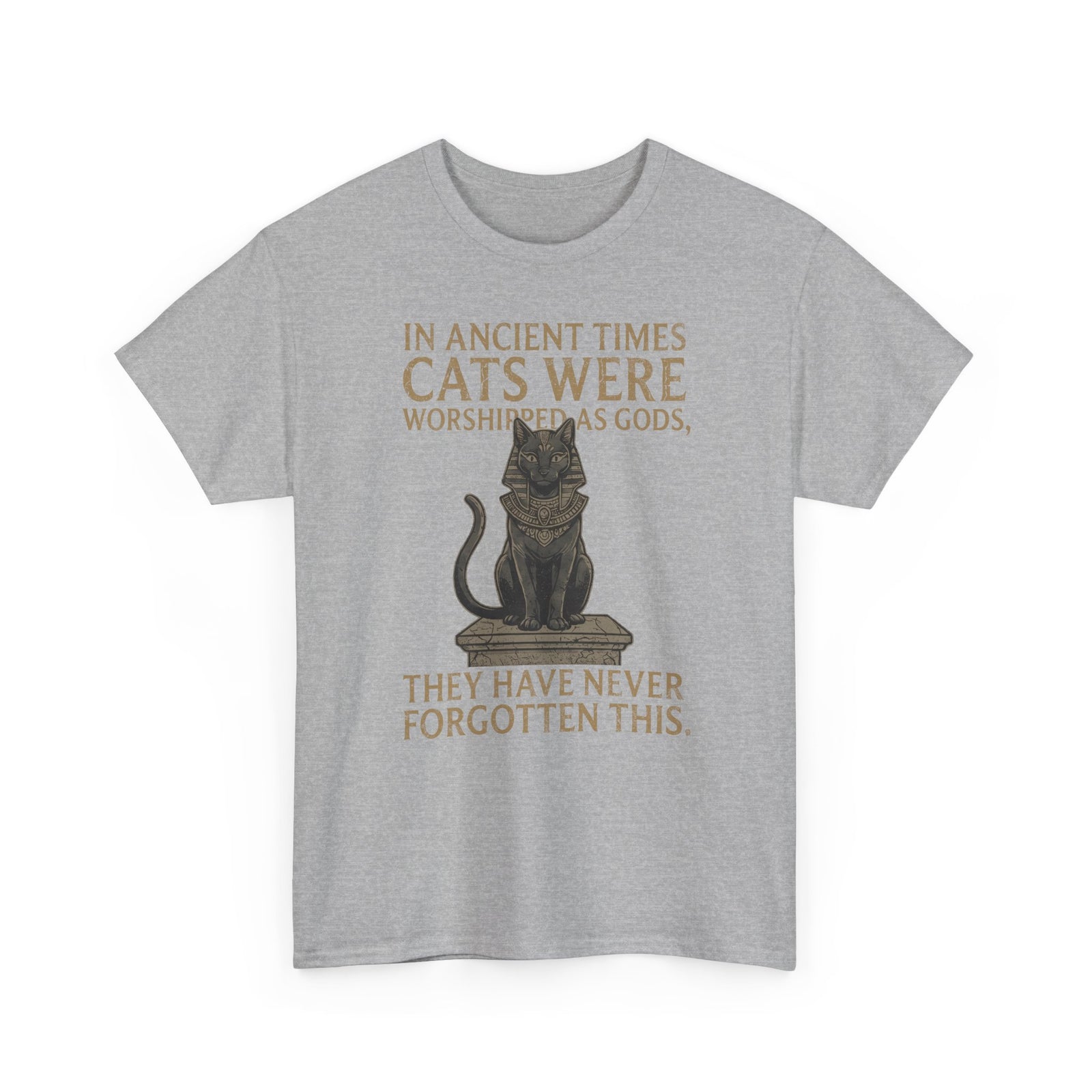 In Ancient Times Cats Were Worshipped Gods T-Shirt