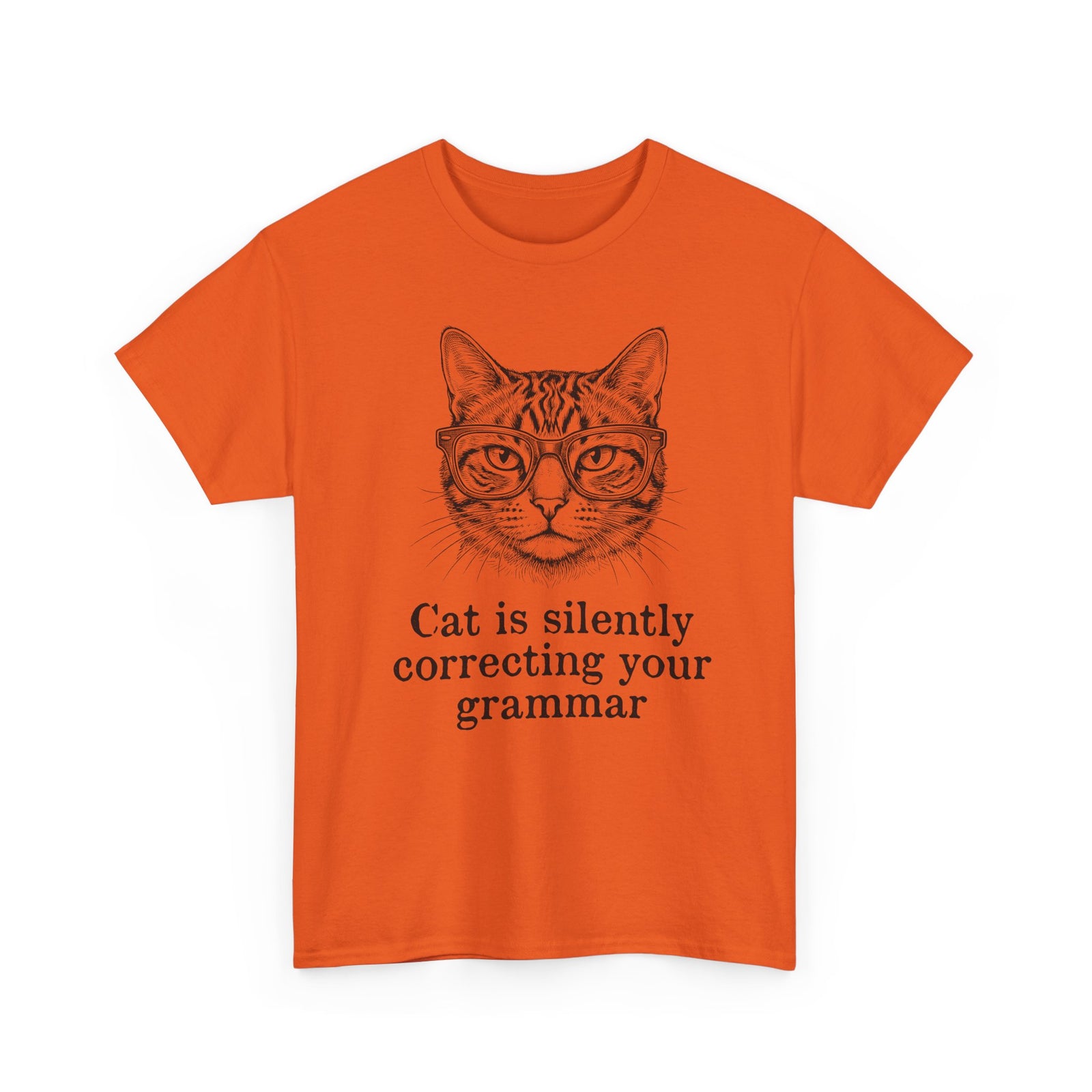 Cat Is Silently Correcting Your Grammar T-Shirt — Funny Grammar Cat Tee