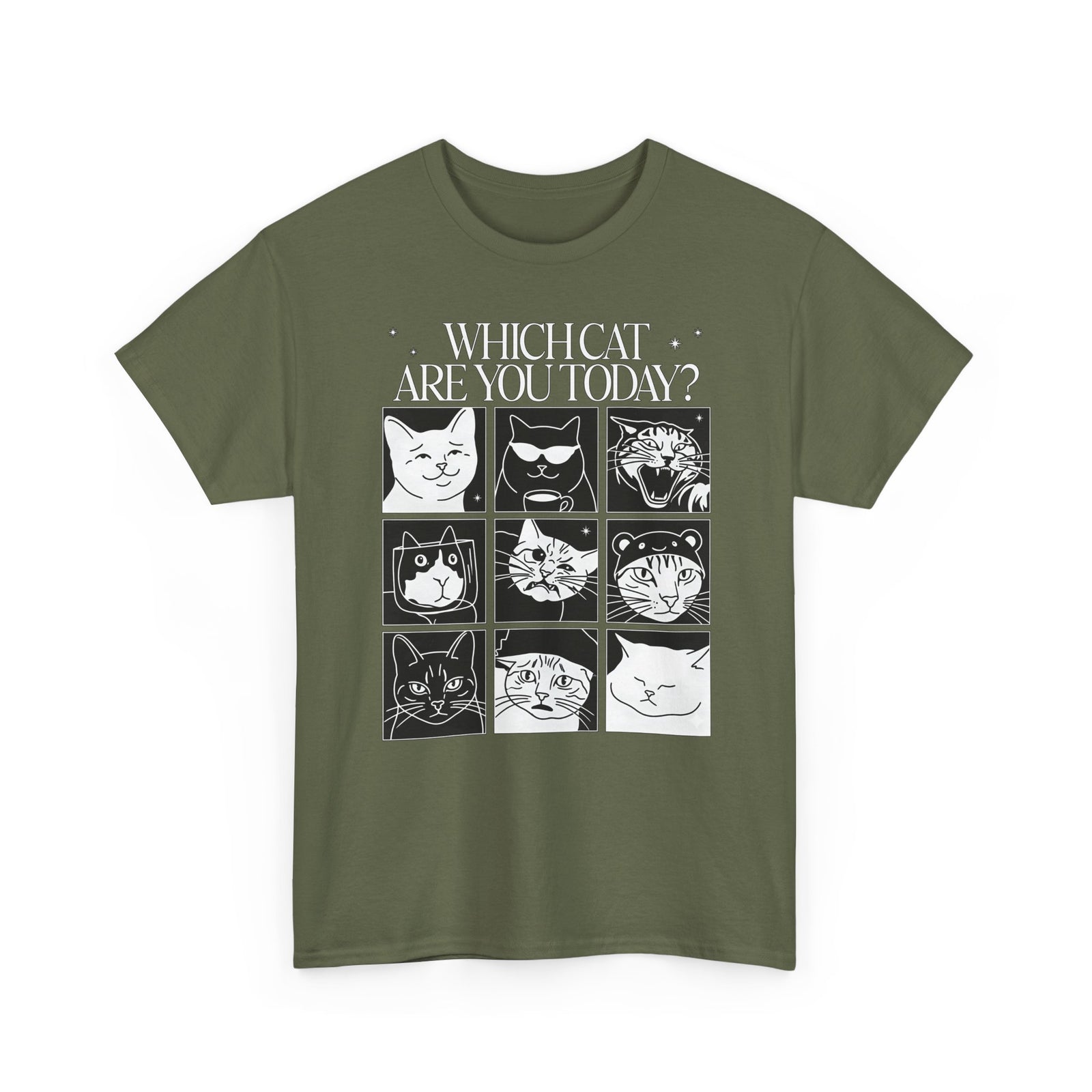 Which Cat You Choose Today T-Shirt — Playful Cat Lover Graphic Tee