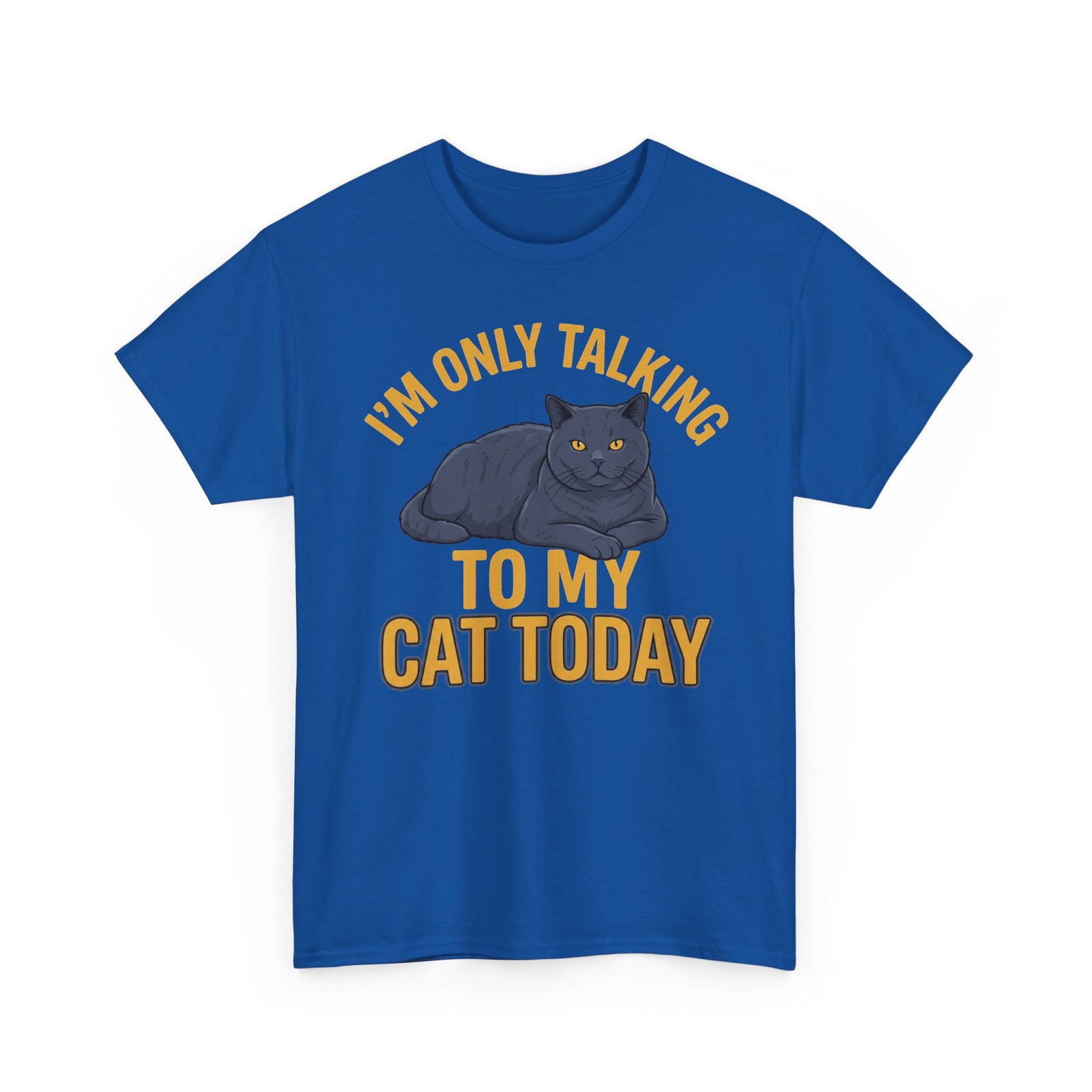 I'm Only Talking To My Cat Today T-Shirt