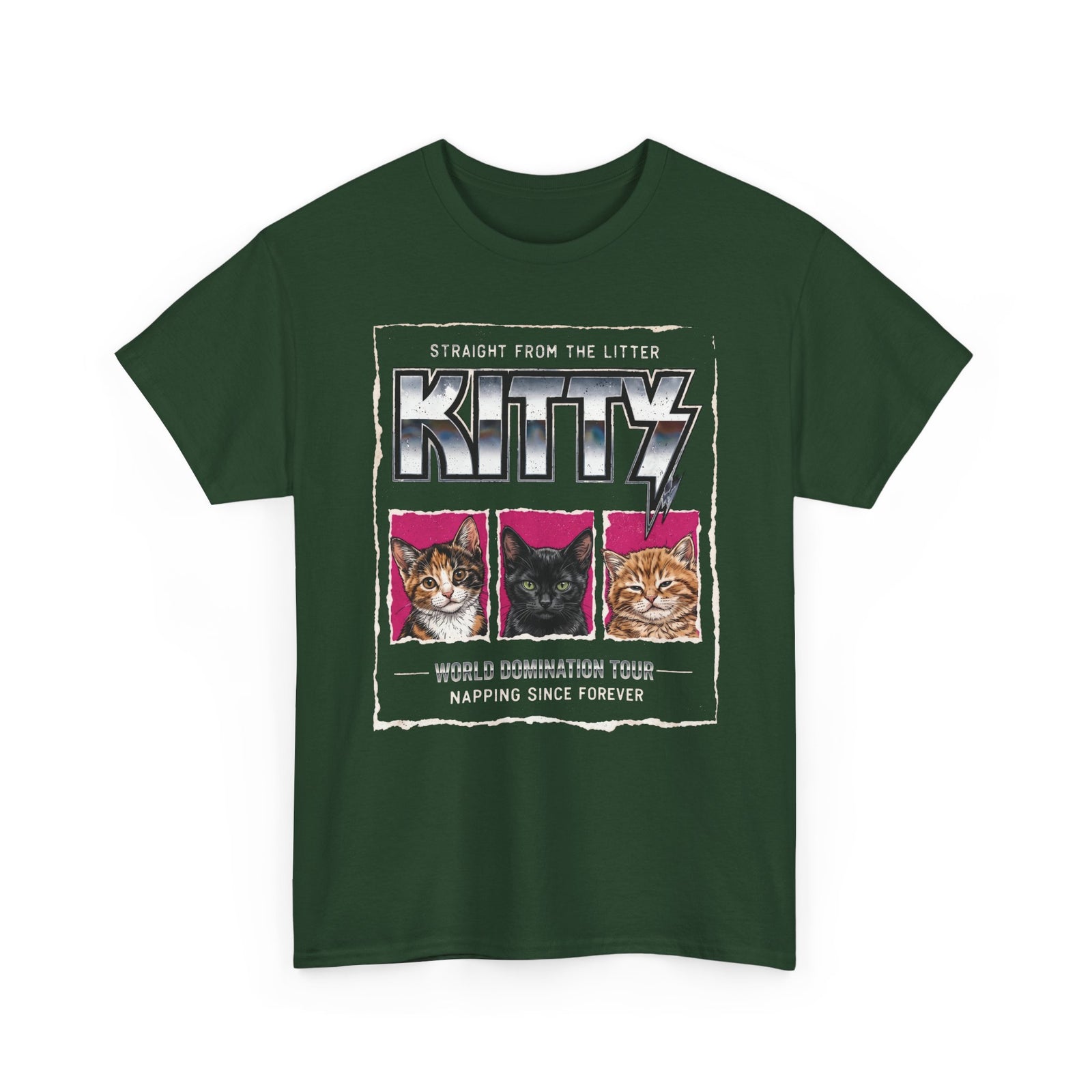 Straight From the Litter Kitty T-Shirt Funny Cat Lover Tee