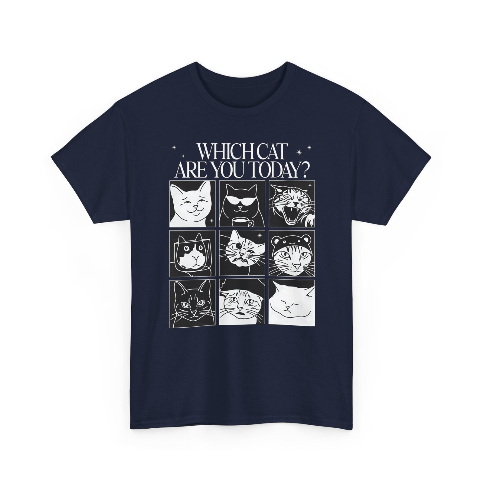 Which Cat You Choose Today T-Shirt — Playful Cat Lover Graphic Tee