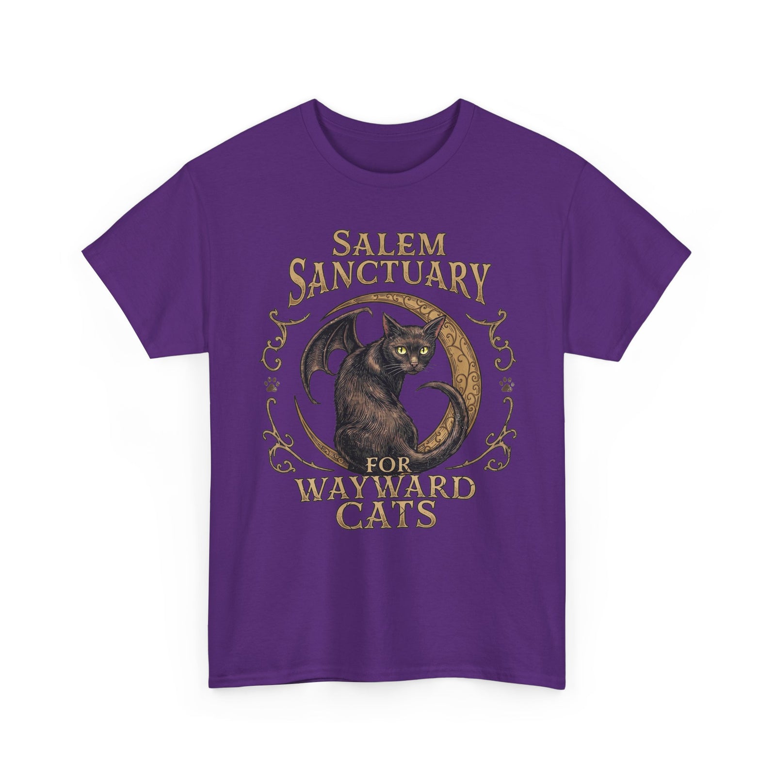Salem Sanctuary For Wayward Cats T-Shirt — Winged Black Cat Gothic Tee