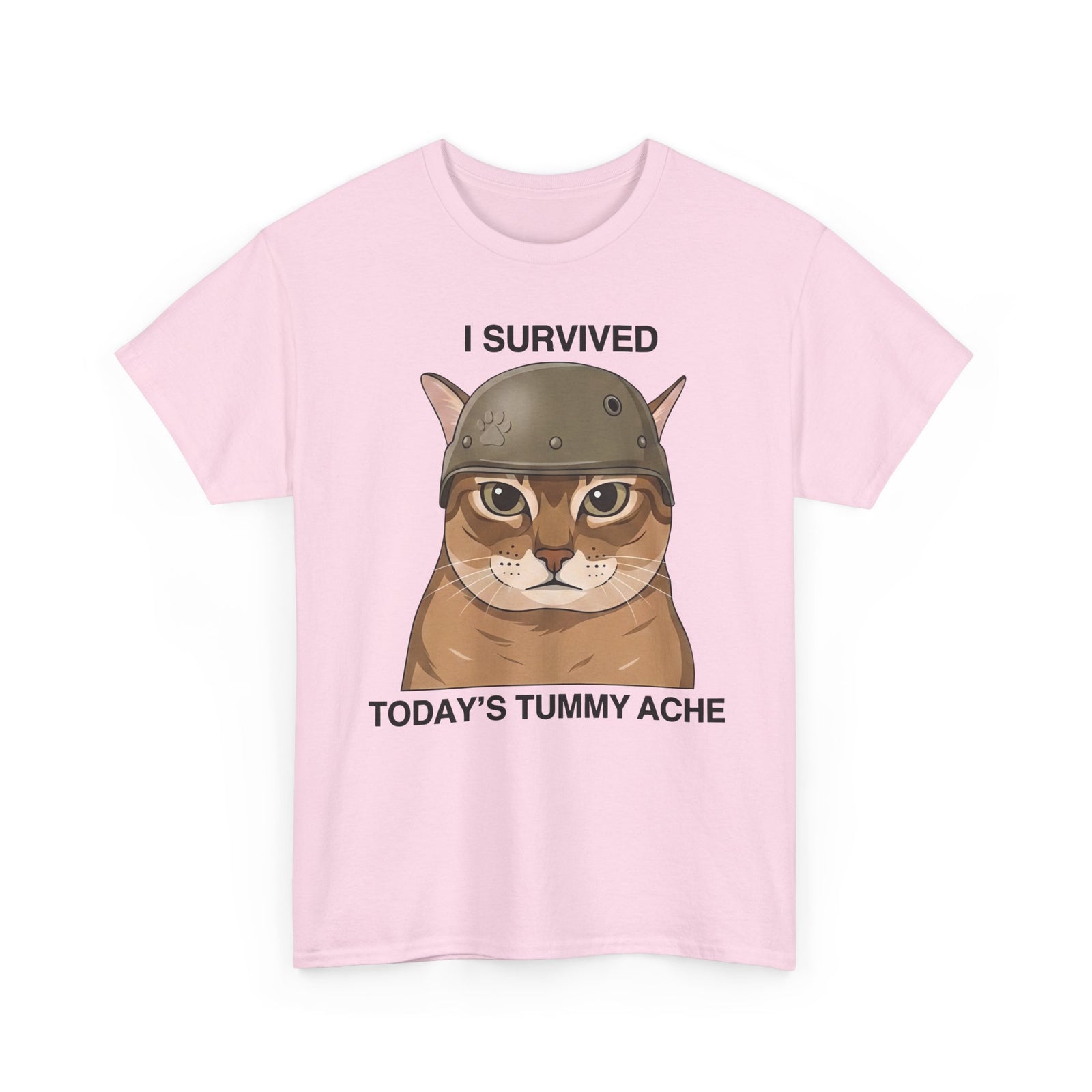 I Survived Today's Tummy Ache T-Shirt — Funny Novelty Tee for Moms, Kids & Caregivers