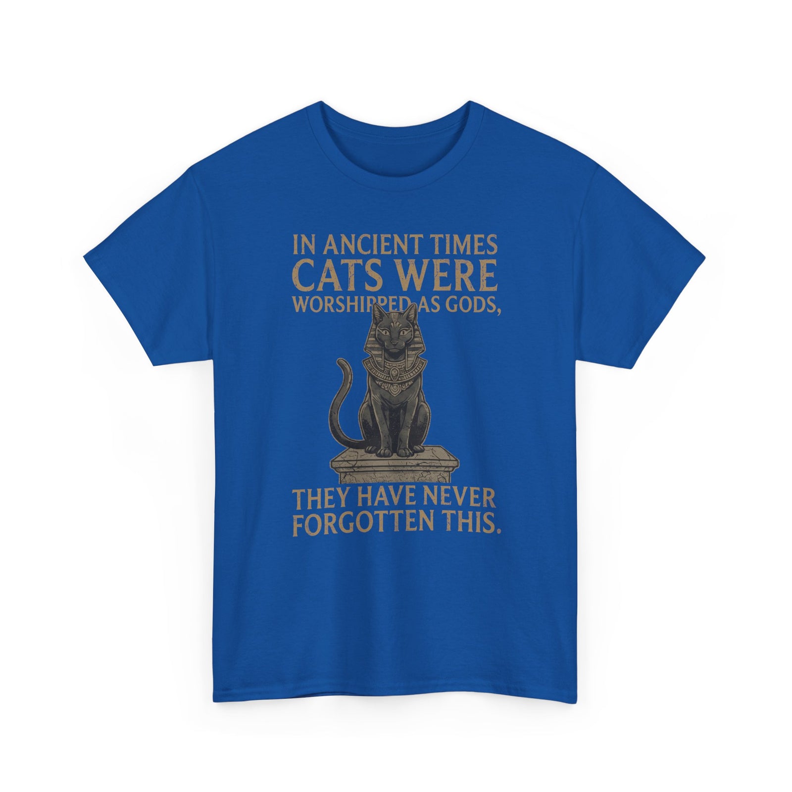 In Ancient Times Cats Were Worshipped Gods T-Shirt