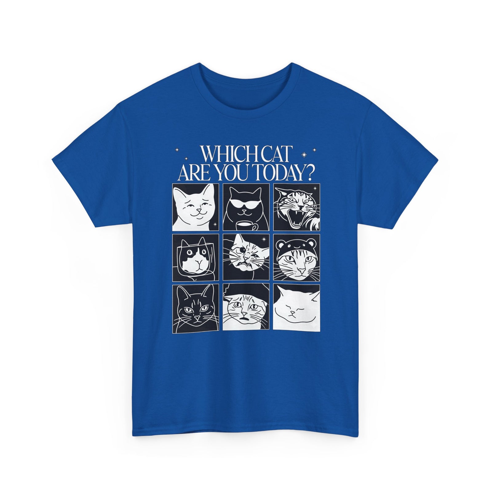 Which Cat You Choose Today T-Shirt — Playful Cat Lover Graphic Tee