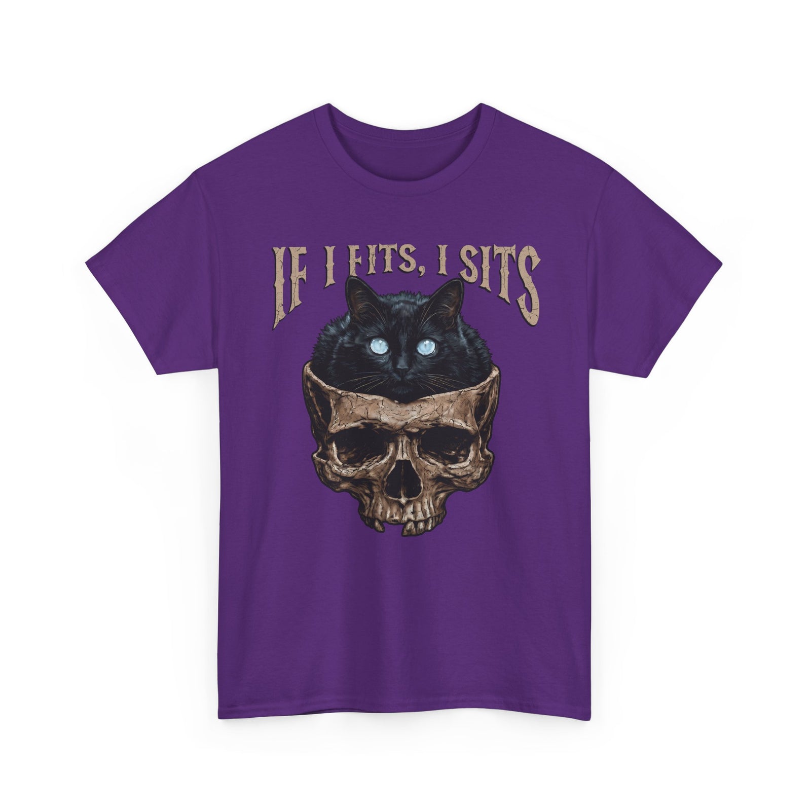 If I Fits I Sits Cat T-Shirt — Funny Gothic Black Cat Skull Graphic