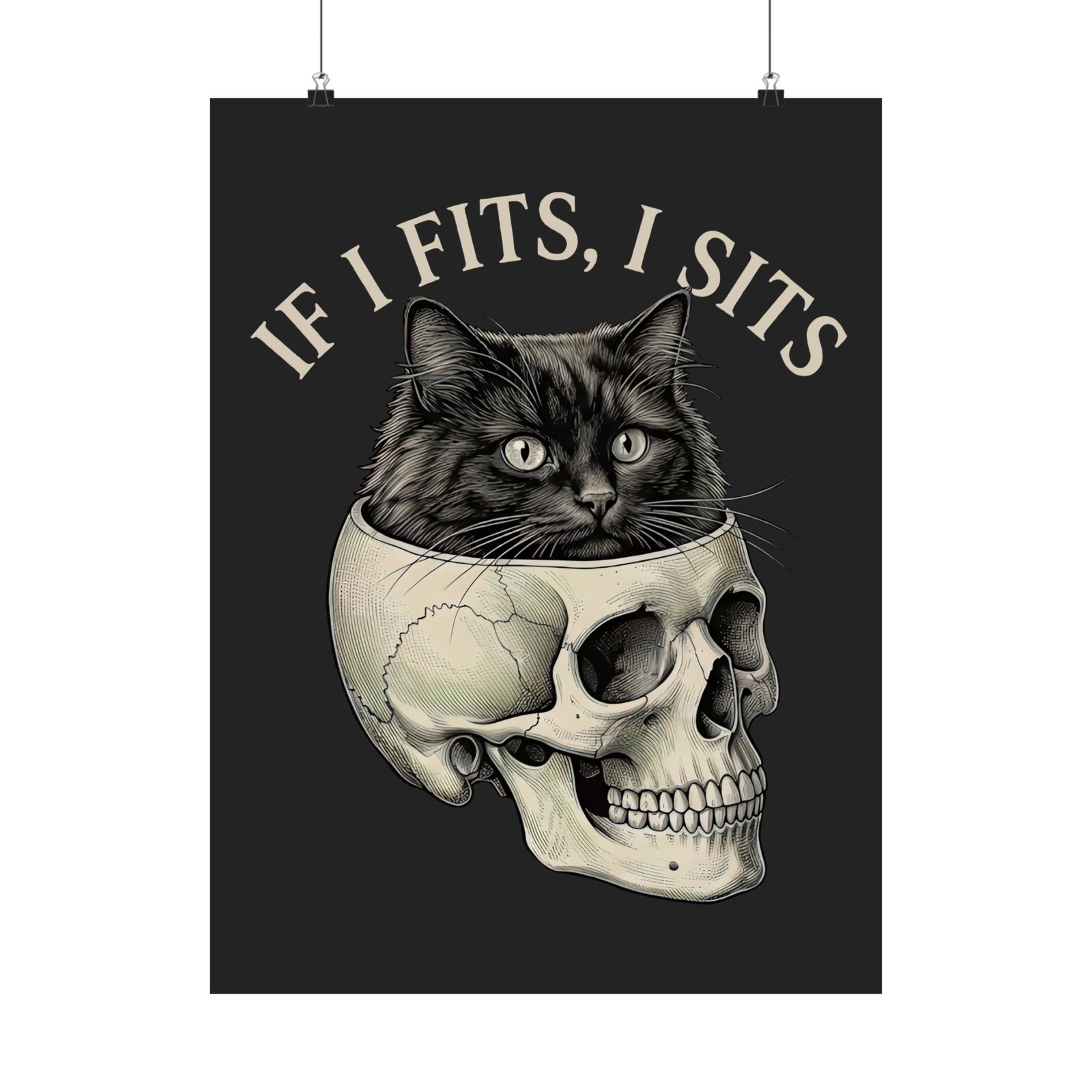 Cat 'If I Fits I Sits' Poster