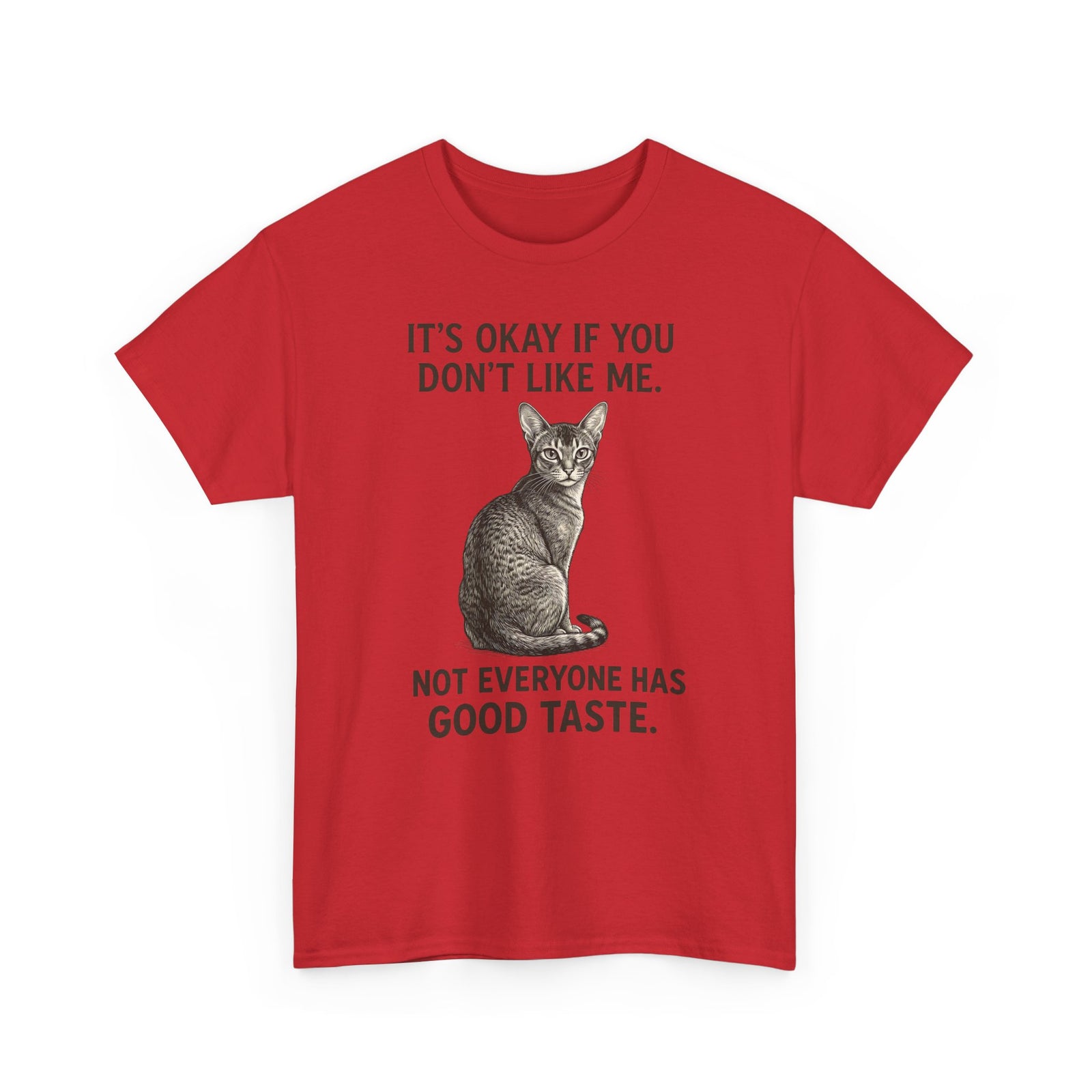 Sassy Cat 'It's Okay If You Don't Like Me' T-Shirt