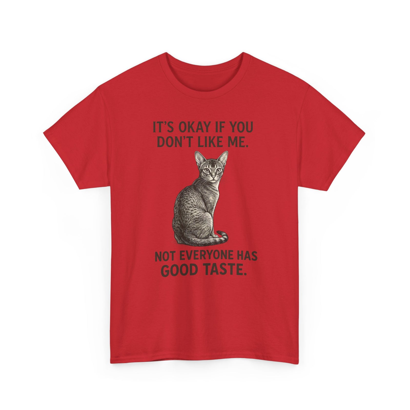 Sassy Cat 'It's Okay If You Don't Like Me' T-Shirt