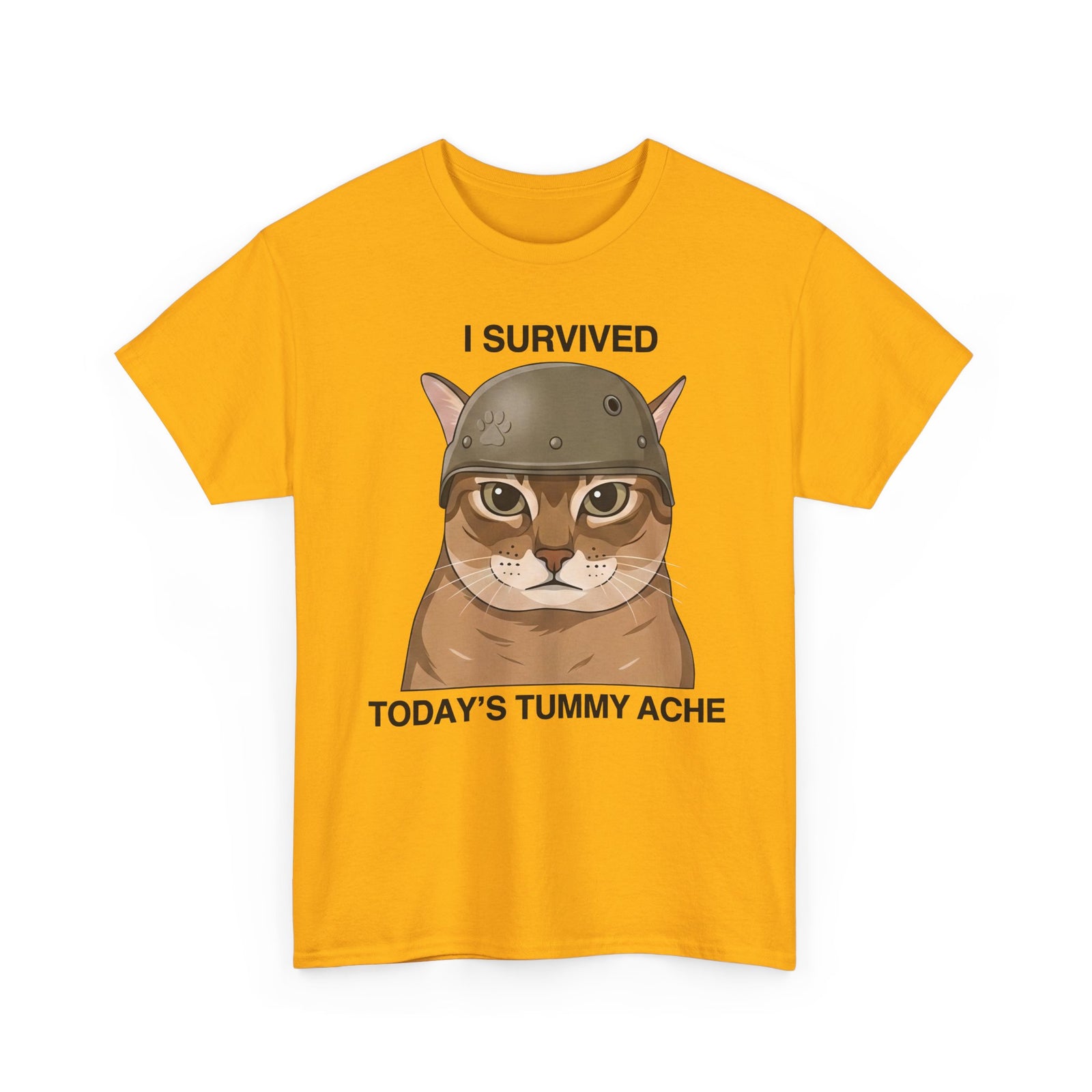I Survived Today's Tummy Ache T-Shirt — Funny Novelty Tee for Moms, Kids & Caregivers