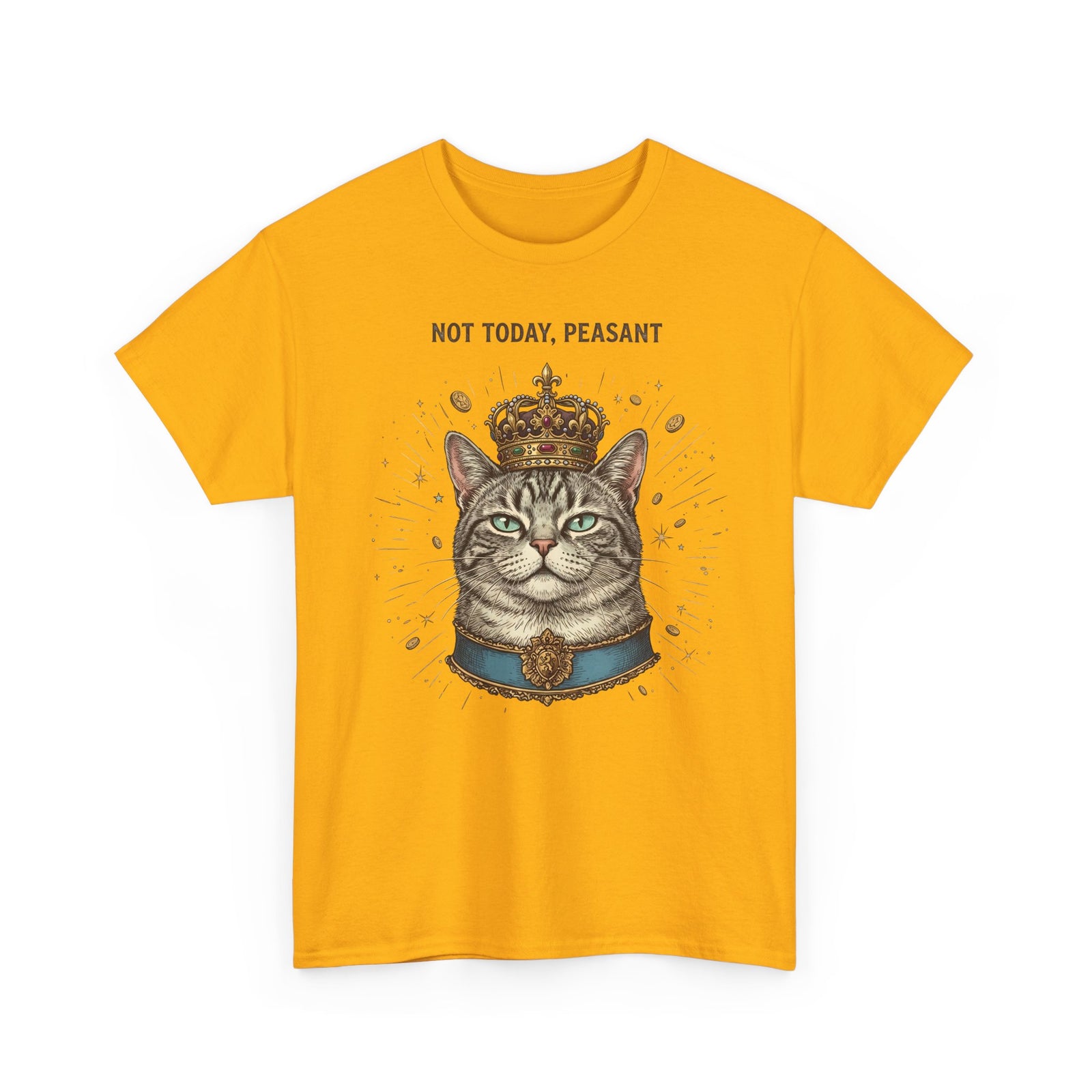 Funny Cat T-Shirt — "Not Today" Graphic Tee