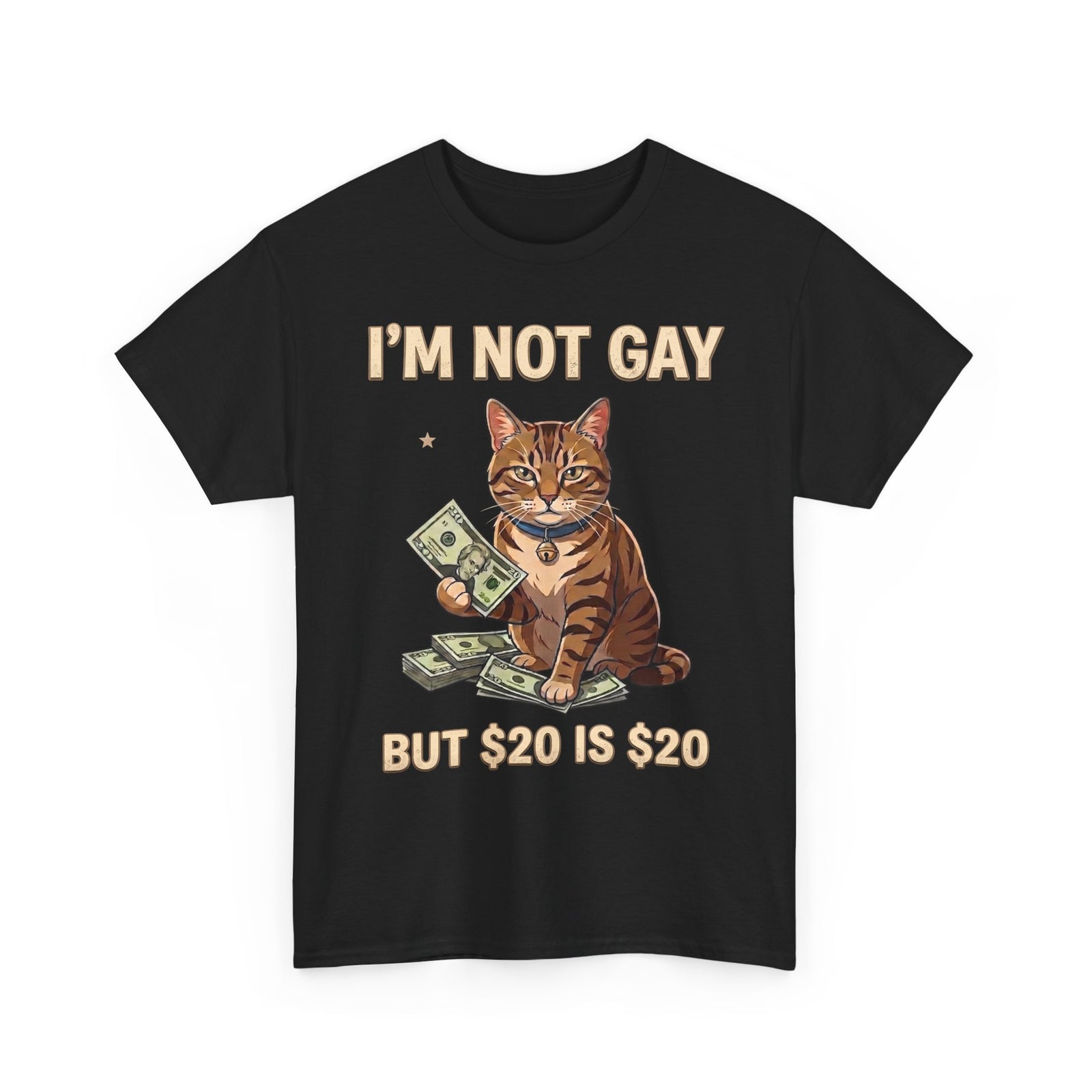 I'm Not Gay But $20 Is $20 T-Shirt — Funny Cat Cash Meme Tee
