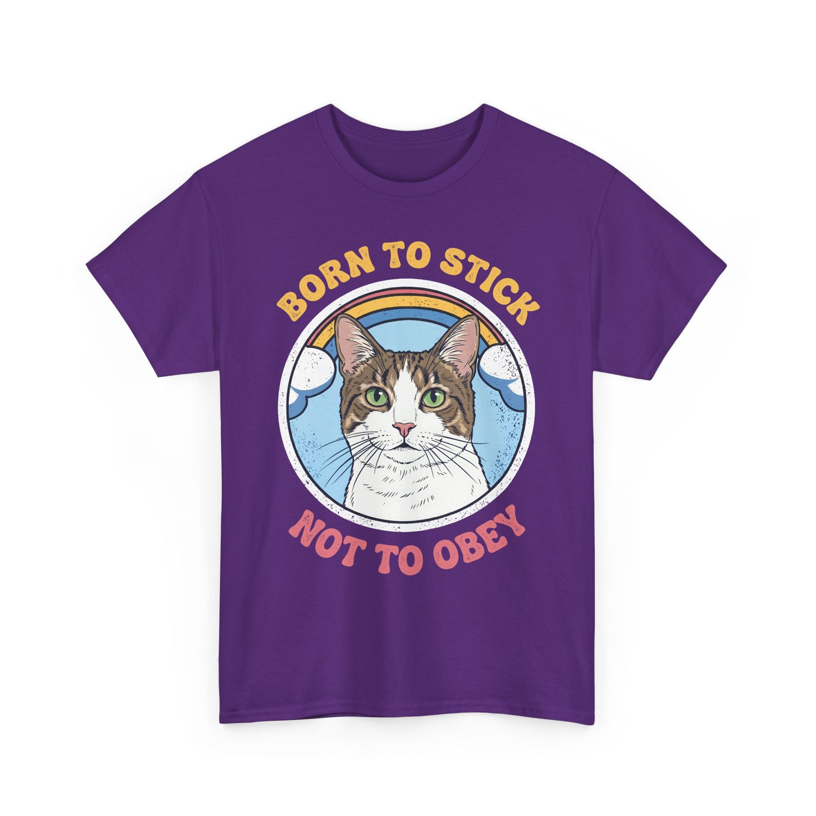 Born To Stick Not To Obey T-Shirt — Retro Rainbow Cat Graphic Tee