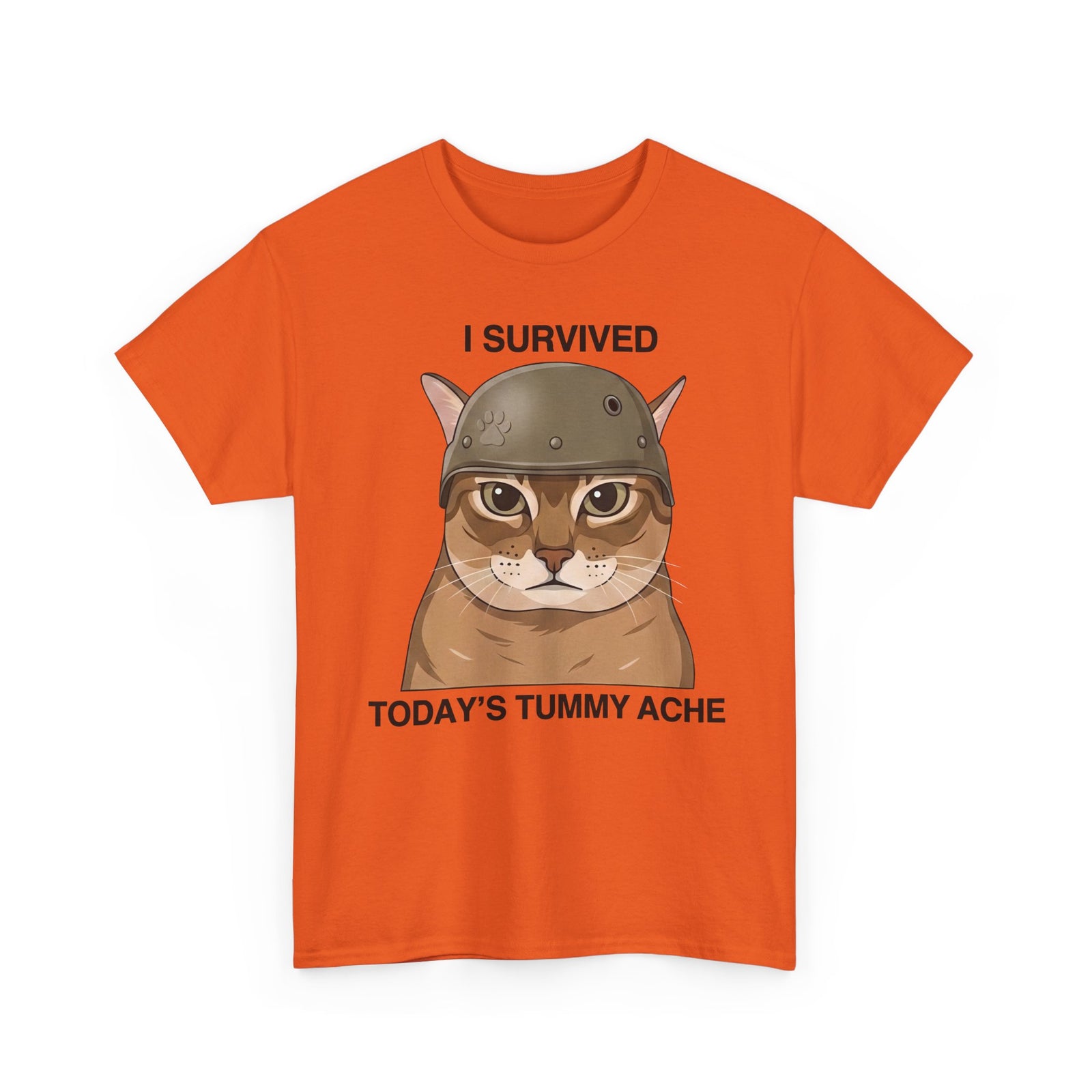 I Survived Today's Tummy Ache T-Shirt — Funny Novelty Tee for Moms, Kids & Caregivers