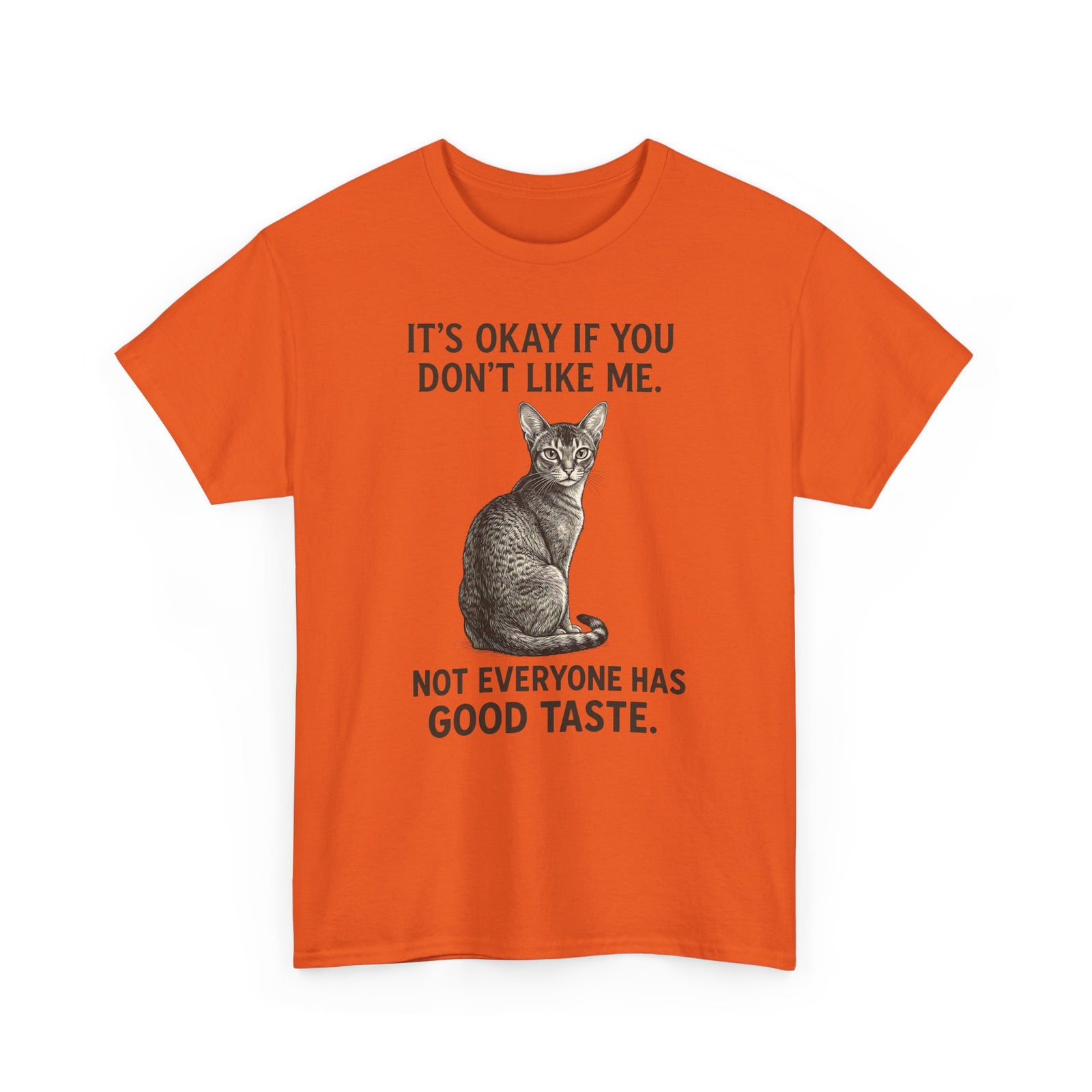 Sassy Cat 'It's Okay If You Don't Like Me' T-Shirt