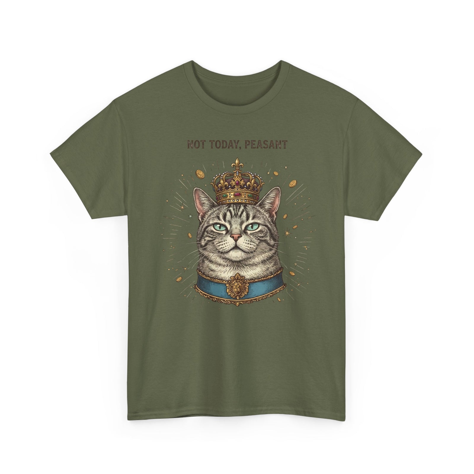 Funny Cat T-Shirt — "Not Today" Graphic Tee