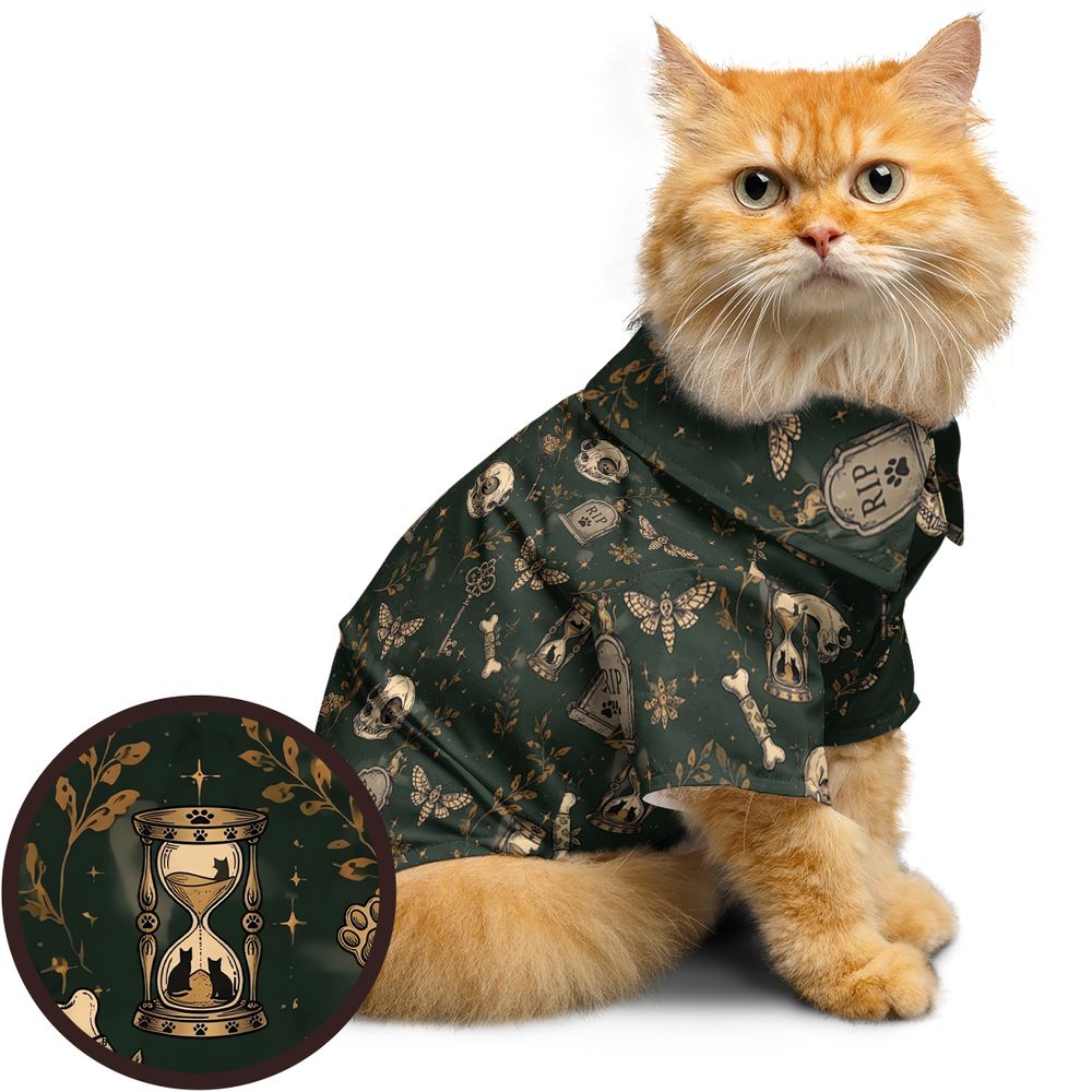 Feline Memento Mori - - 1