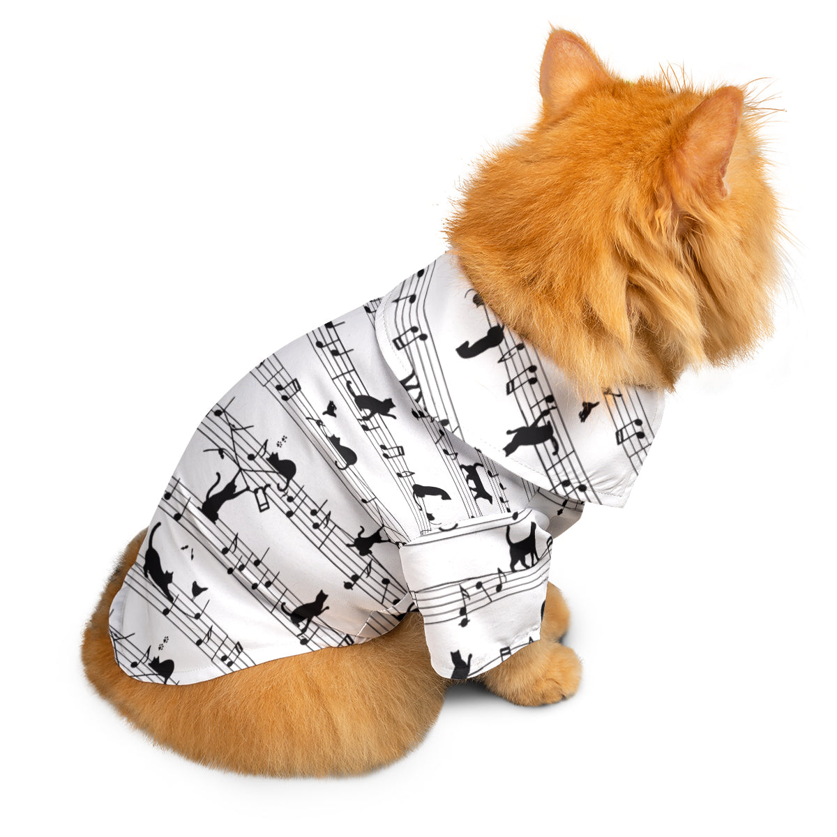 Musical cats in playful harmony Pet Hawaiian Shirt