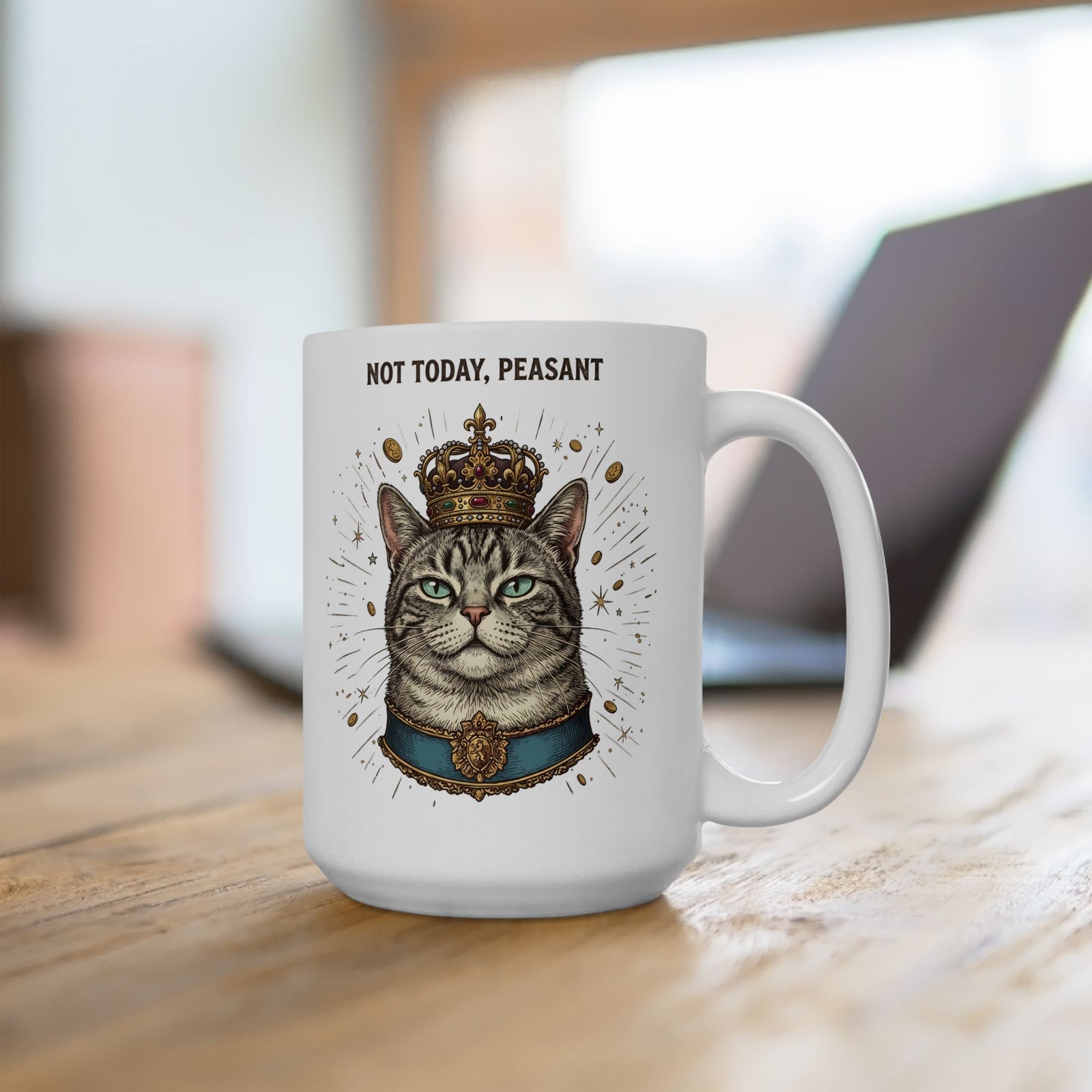 Funny Cat Ceramic Mug — "Not Today" Graphic Mug