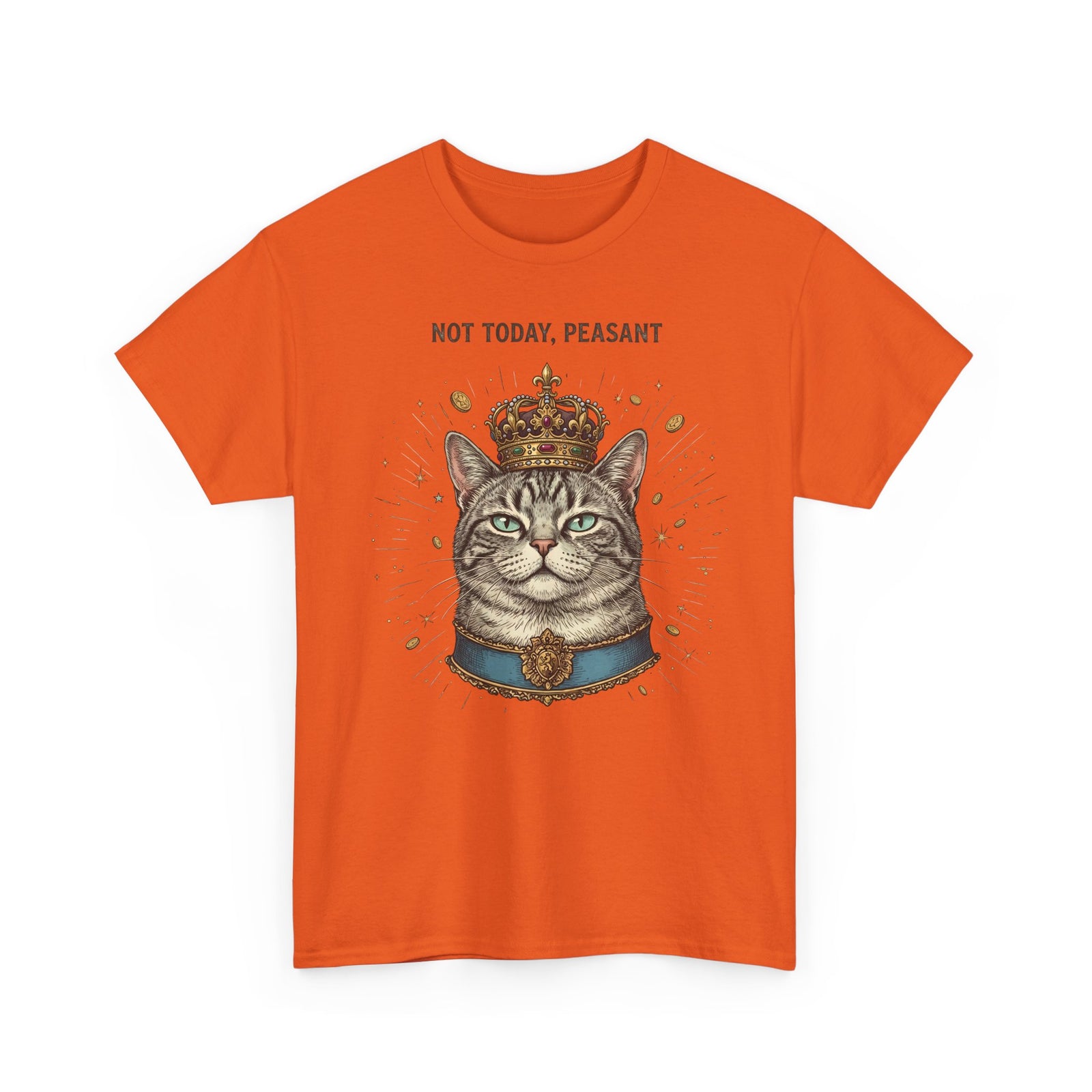 Funny Cat T-Shirt — "Not Today" Graphic Tee