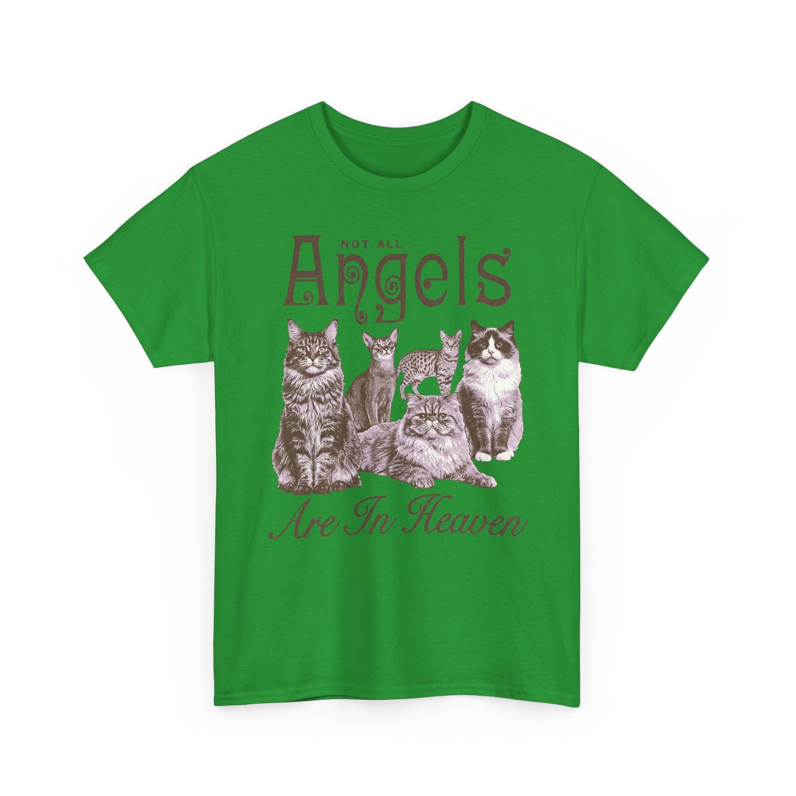 Not All Angels Are In Heaven T-Shirt — Cat Lovers Memorial Tee