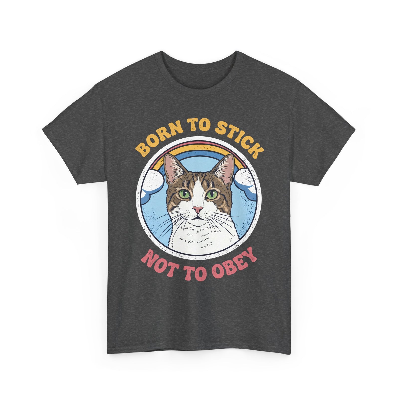 Born To Stick Not To Obey T-Shirt — Retro Rainbow Cat Graphic Tee