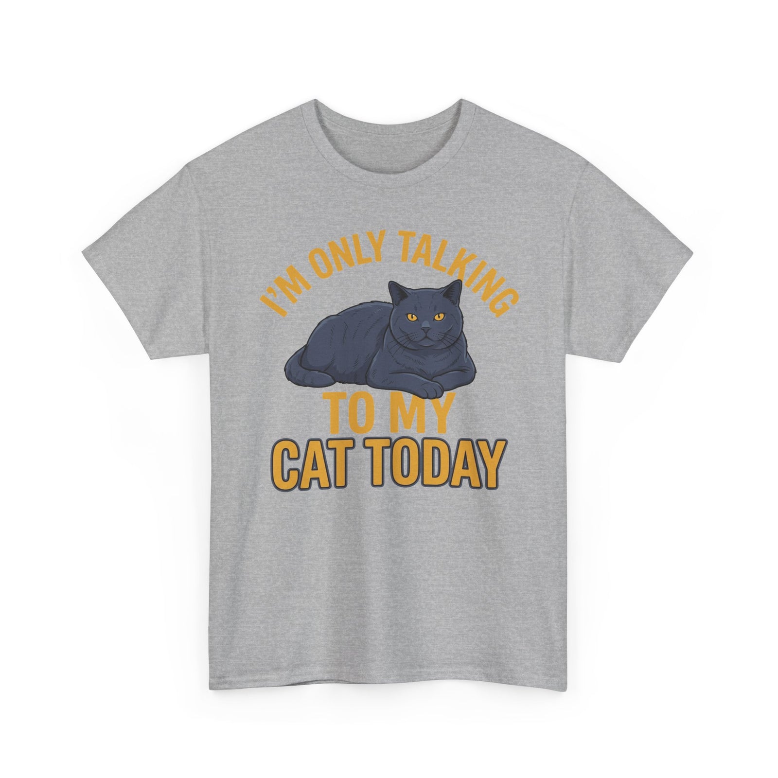 I'm Only Talking To My Cat Today T-Shirt