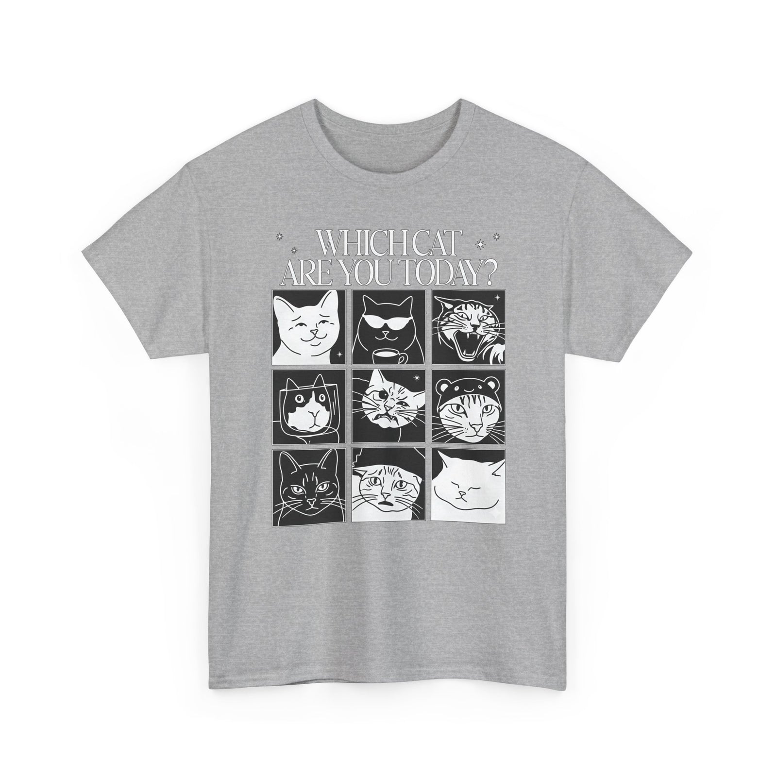 Which Cat You Choose Today T-Shirt — Playful Cat Lover Graphic Tee