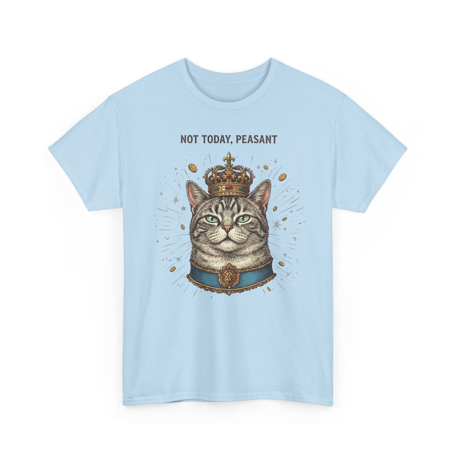 Funny Cat T-Shirt — "Not Today" Graphic Tee