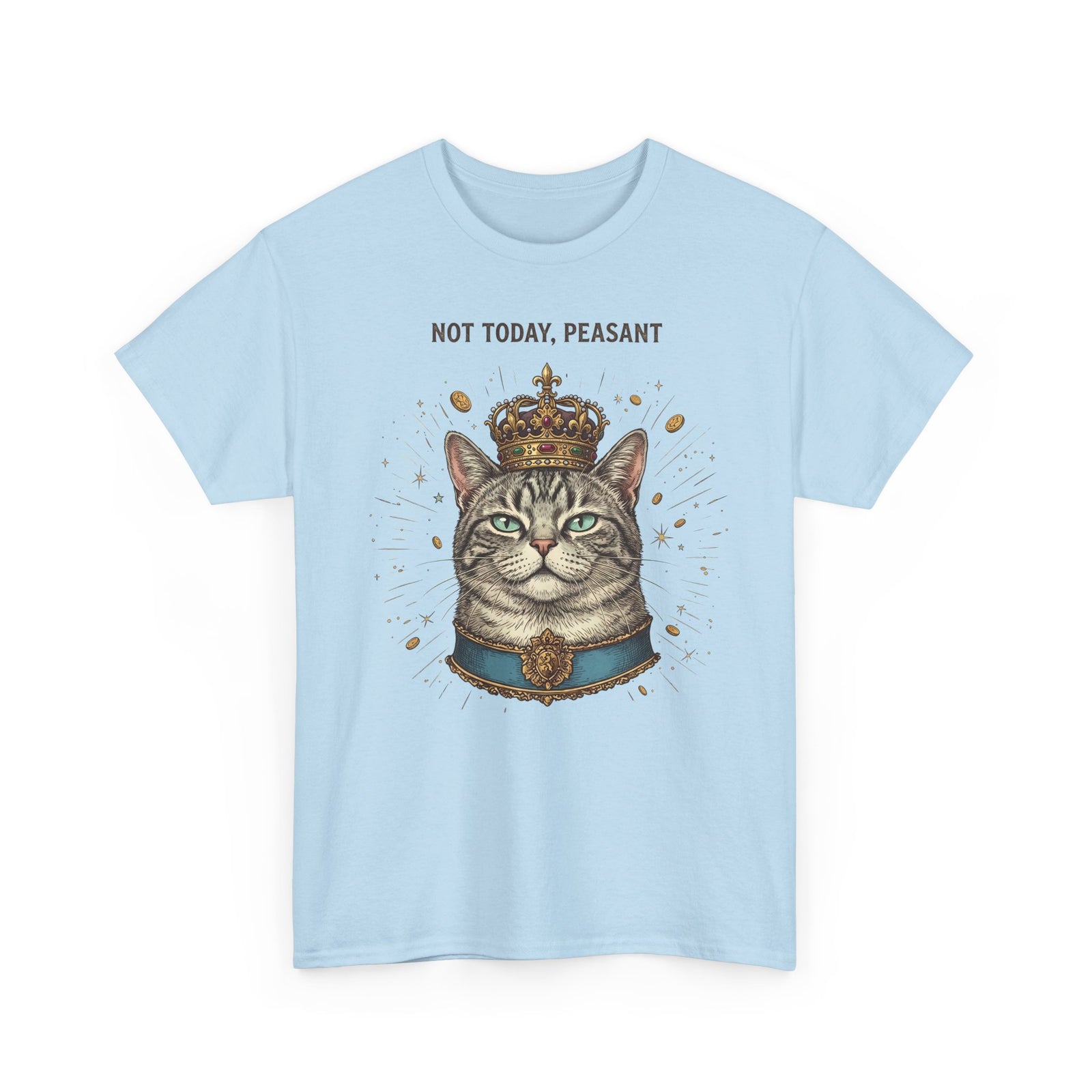 Funny Cat T-Shirt — "Not Today" Graphic Tee