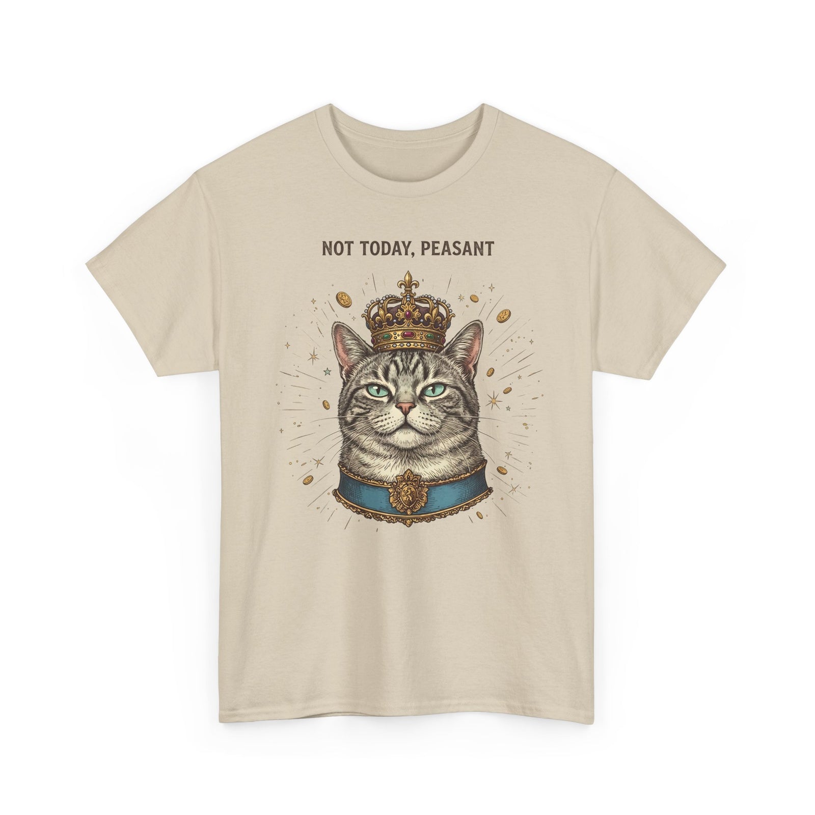Funny Cat T-Shirt — "Not Today" Graphic Tee