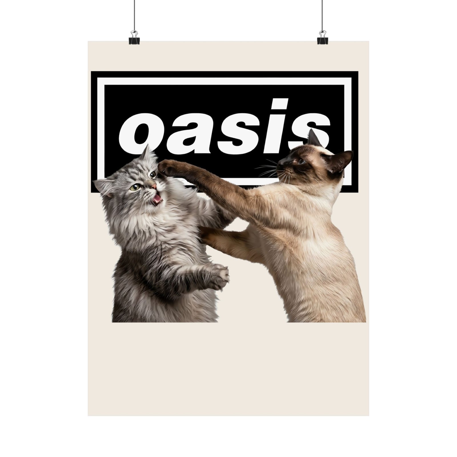 Oasis Cat Fight Poster — Desert Cat Battle Graphic Poster