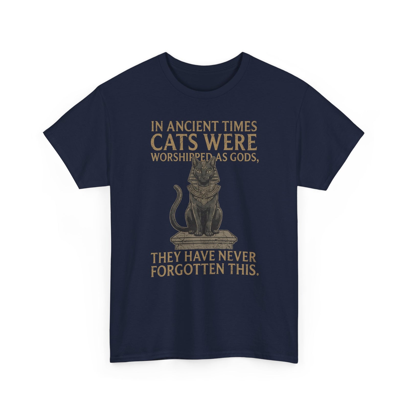 In Ancient Times Cats Were Worshipped Gods T-Shirt