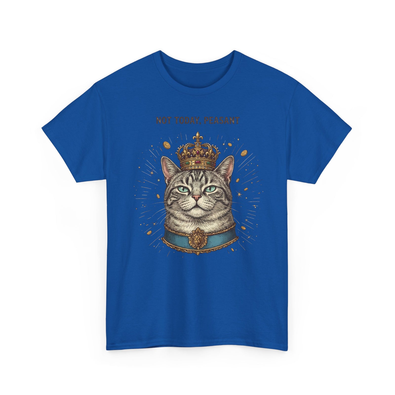 Funny Cat T-Shirt — "Not Today" Graphic Tee