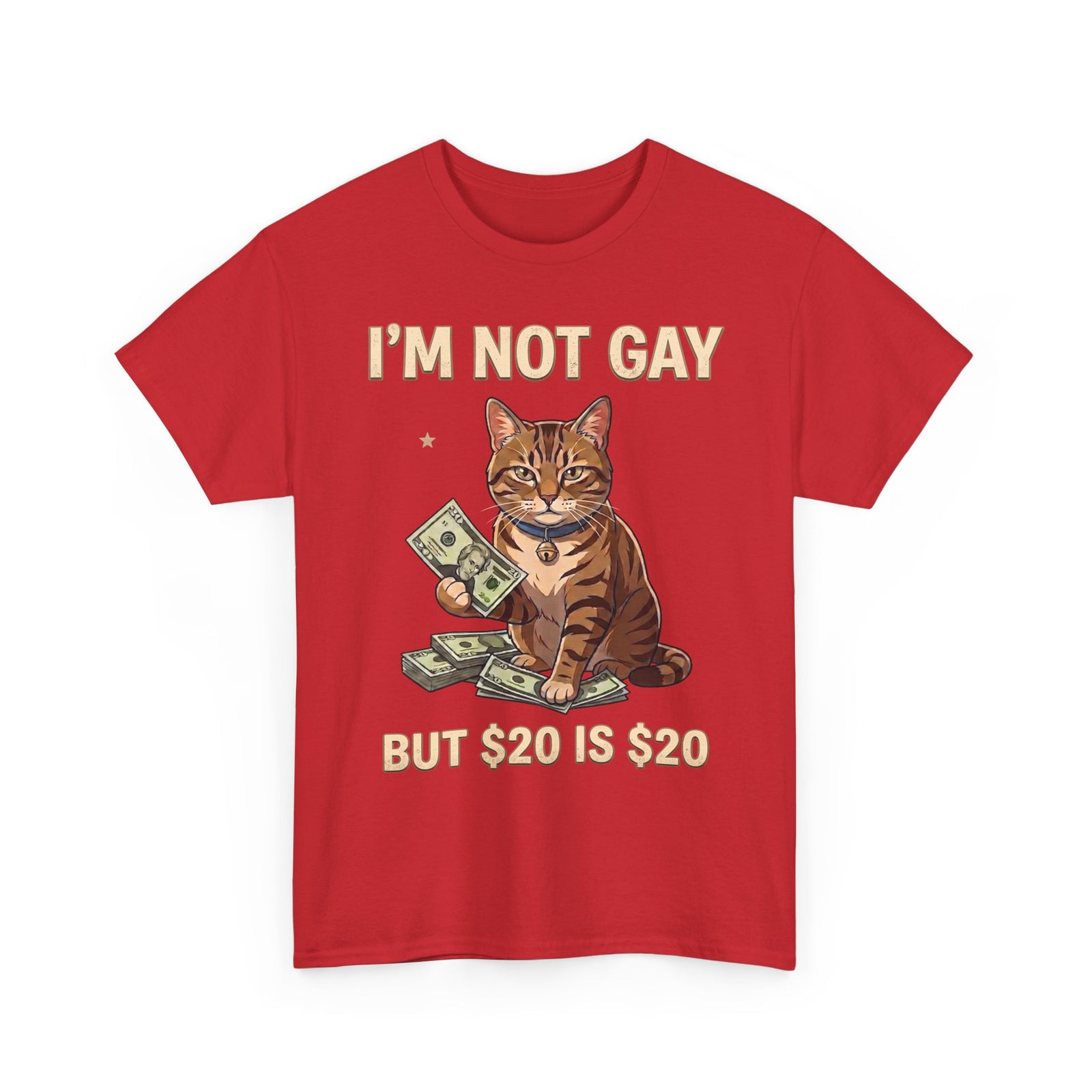 I'm Not Gay But $20 Is $20 T-Shirt — Funny Cat Cash Meme Tee