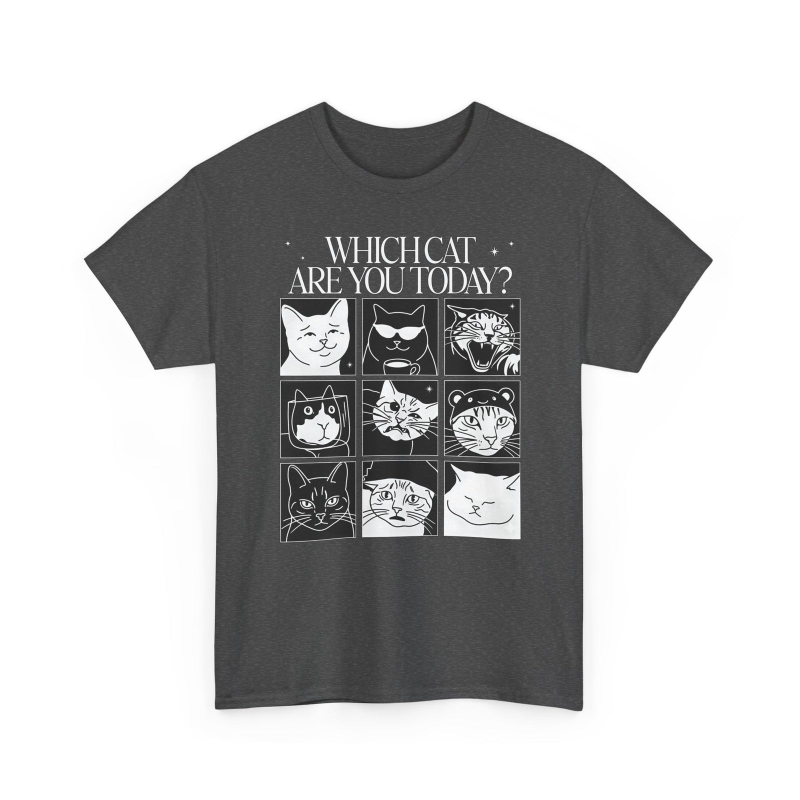 Which Cat You Choose Today T-Shirt — Playful Cat Lover Graphic Tee