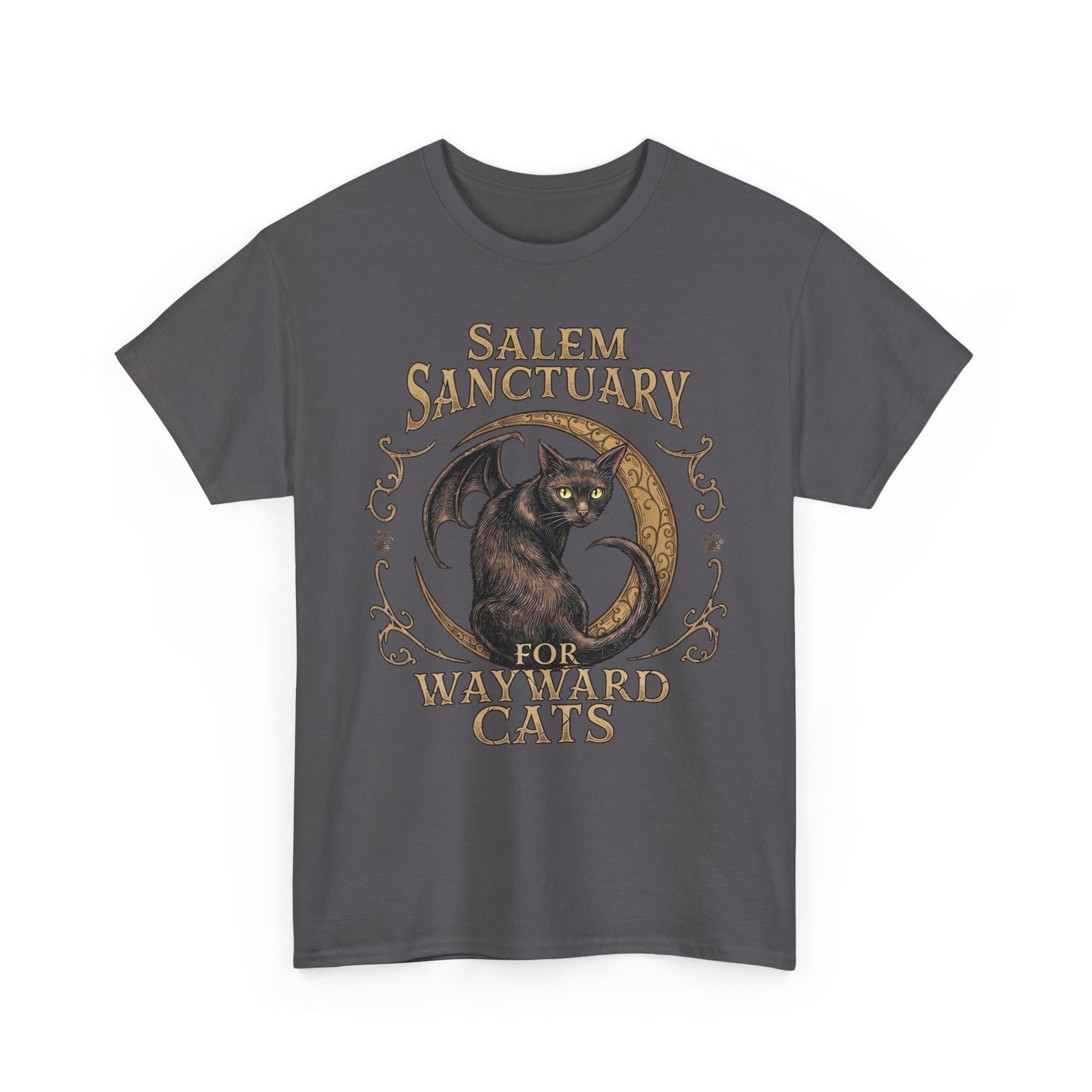 Salem Sanctuary For Wayward Cats T-Shirt — Winged Black Cat Gothic Tee