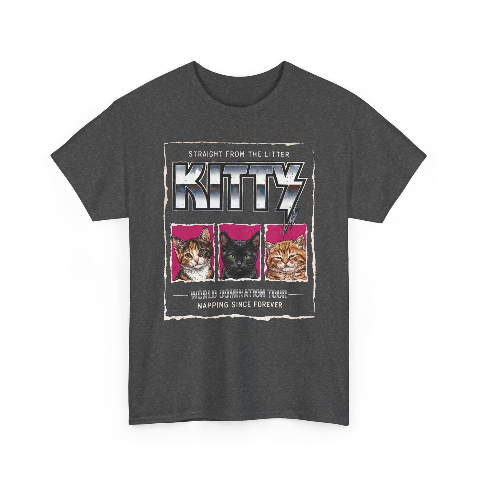Straight From the Litter Kitty T-Shirt Funny Cat Lover Tee