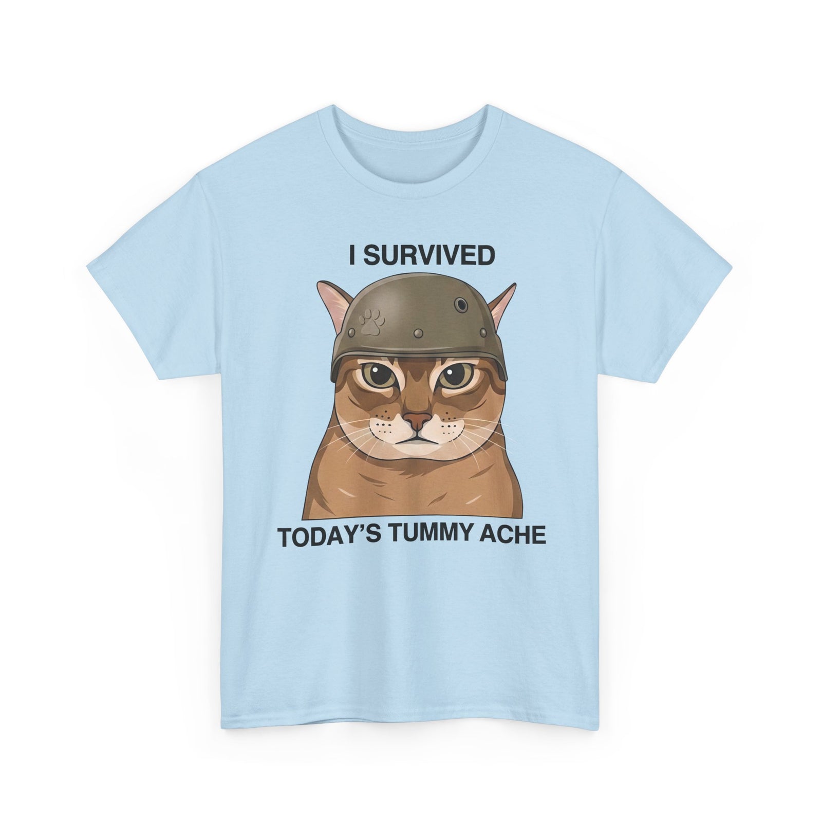 I Survived Today's Tummy Ache T-Shirt — Funny Novelty Tee for Moms, Kids & Caregivers