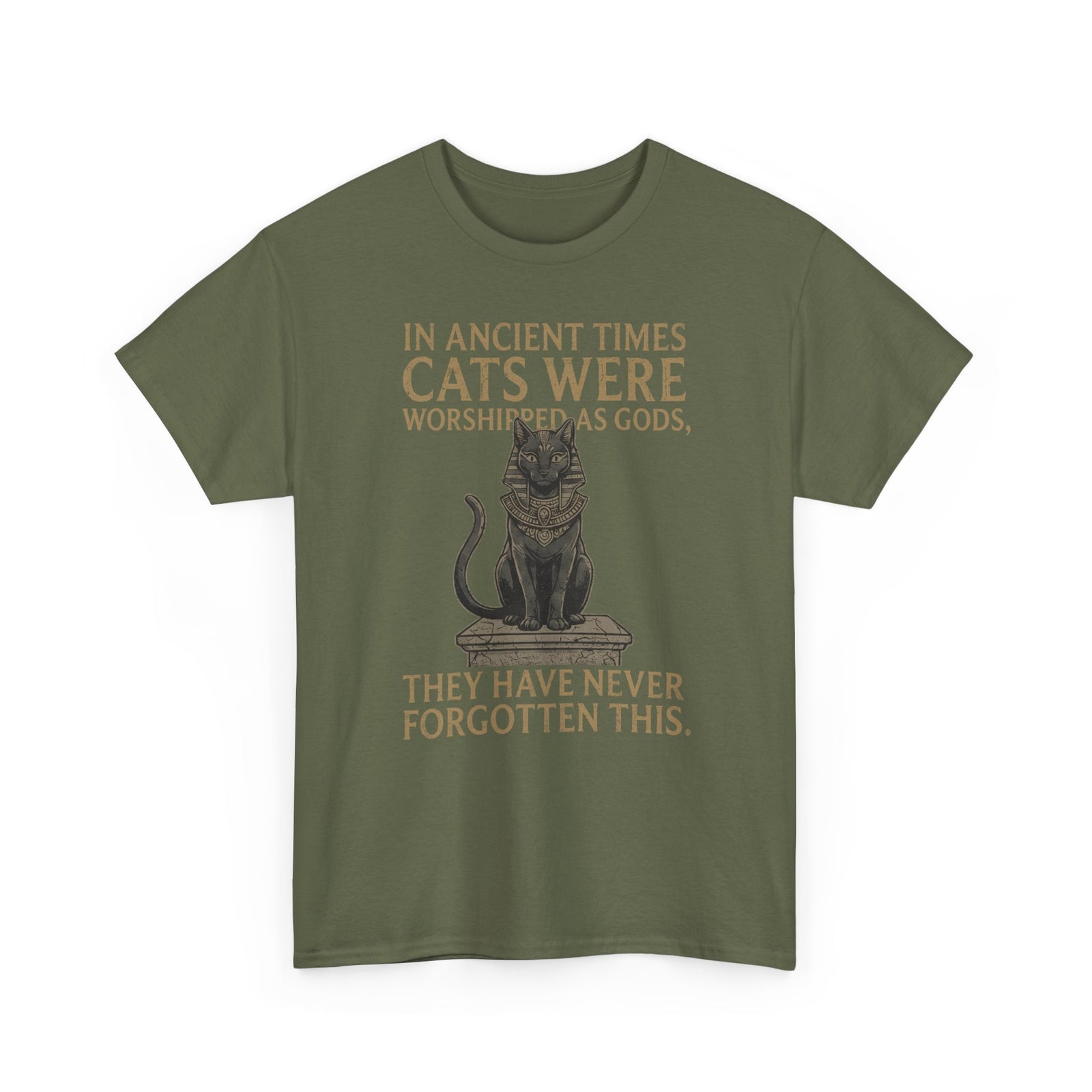 In Ancient Times Cats Were Worshipped Gods T-Shirt