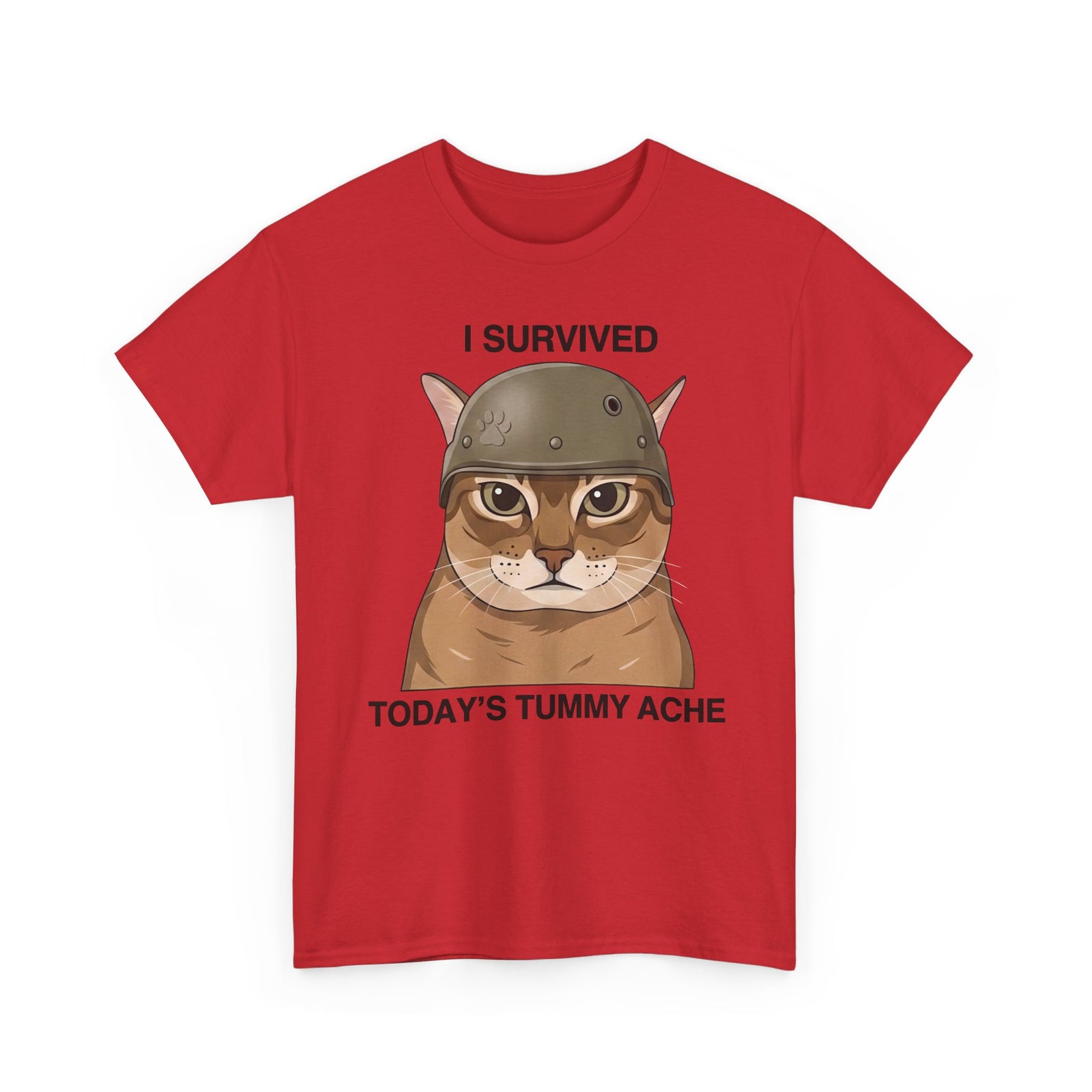 I Survived Today's Tummy Ache T-Shirt — Funny Novelty Tee for Moms, Kids & Caregivers