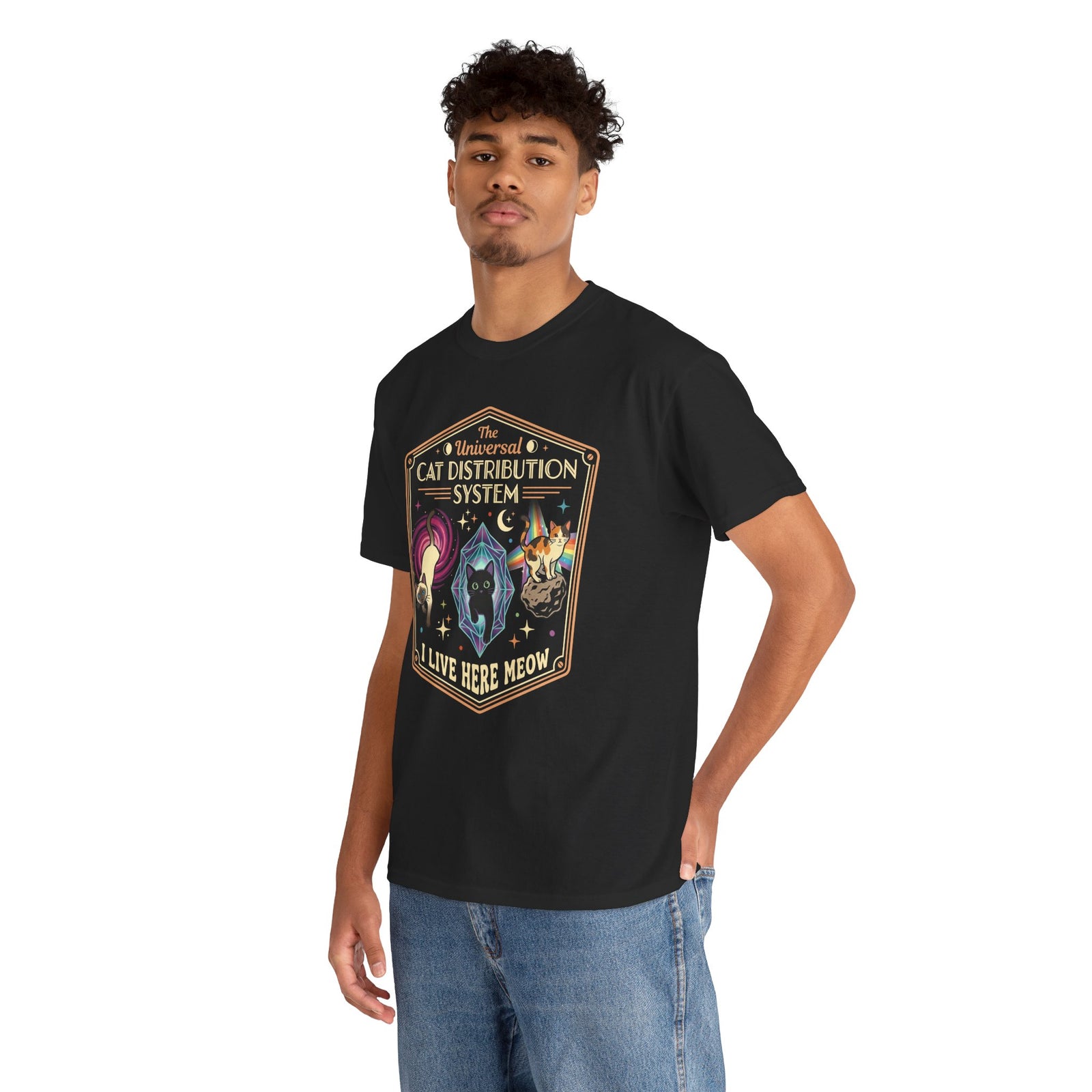 The Universal CAT DISTRIBUTION SYSTEM T-Shirt