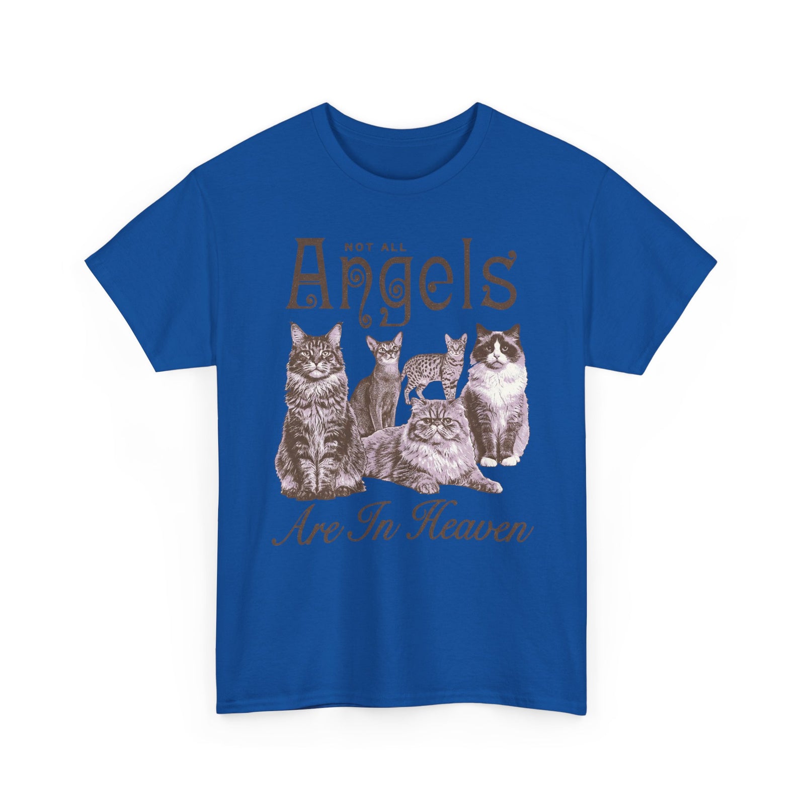 Not All Angels Are In Heaven T-Shirt — Cat Lovers Memorial Tee