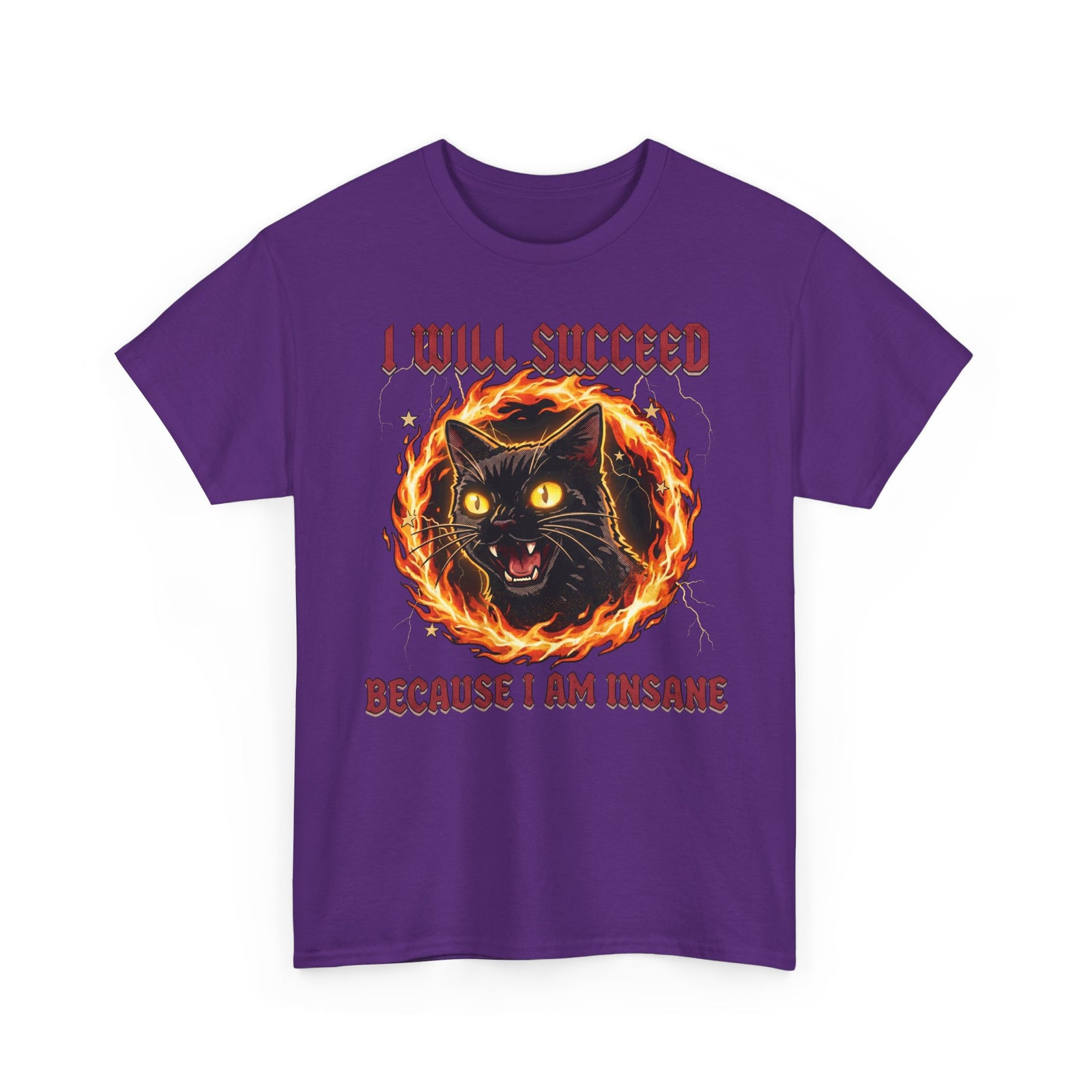 I Will Succeed Because I Am Insane T-Shirt — Heavy Metal Black Cat Graphic Tee